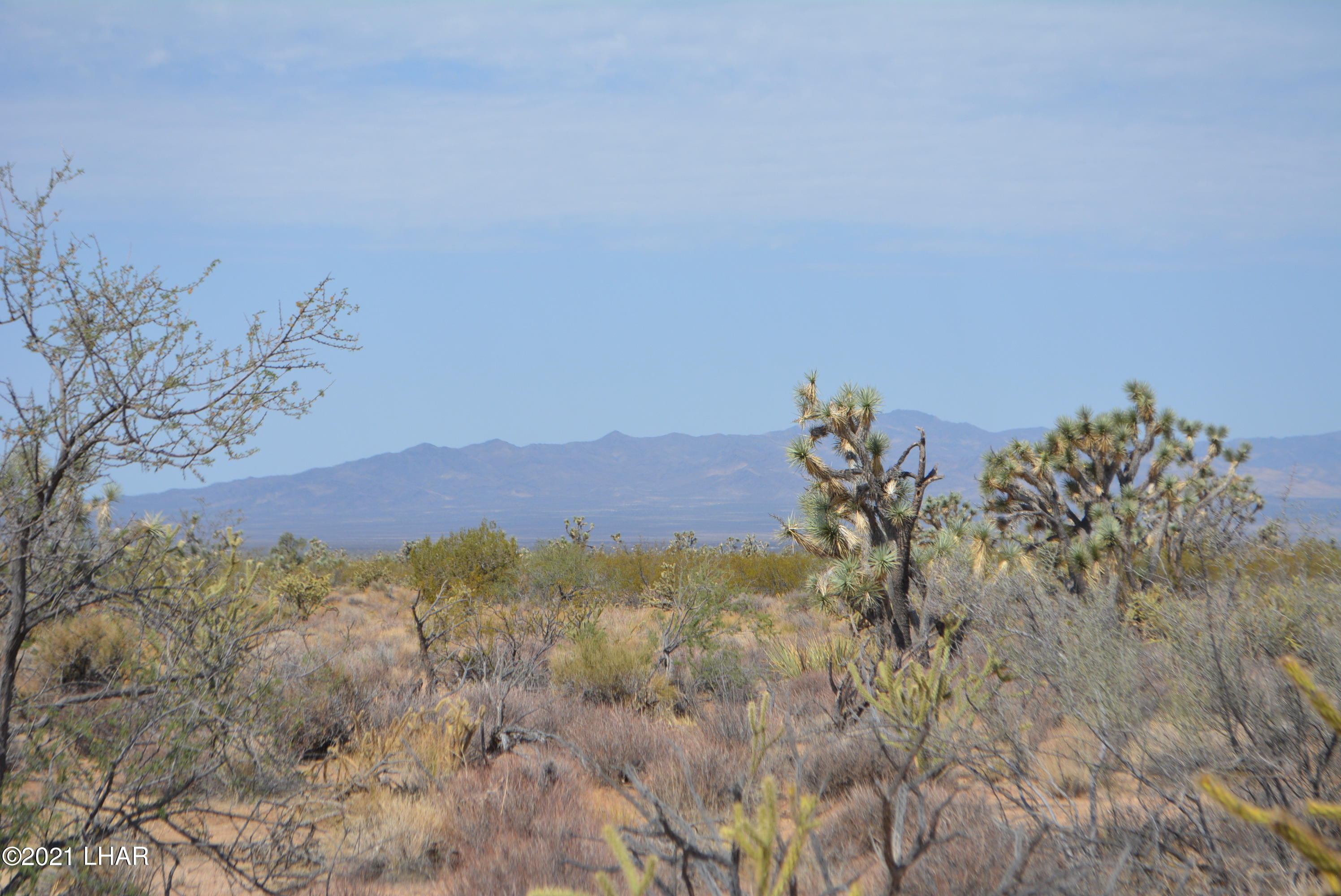 195 South Diamondback Road Yucca, AZ 86438 - Photo 33 of 54 DSC_0472 (2)
