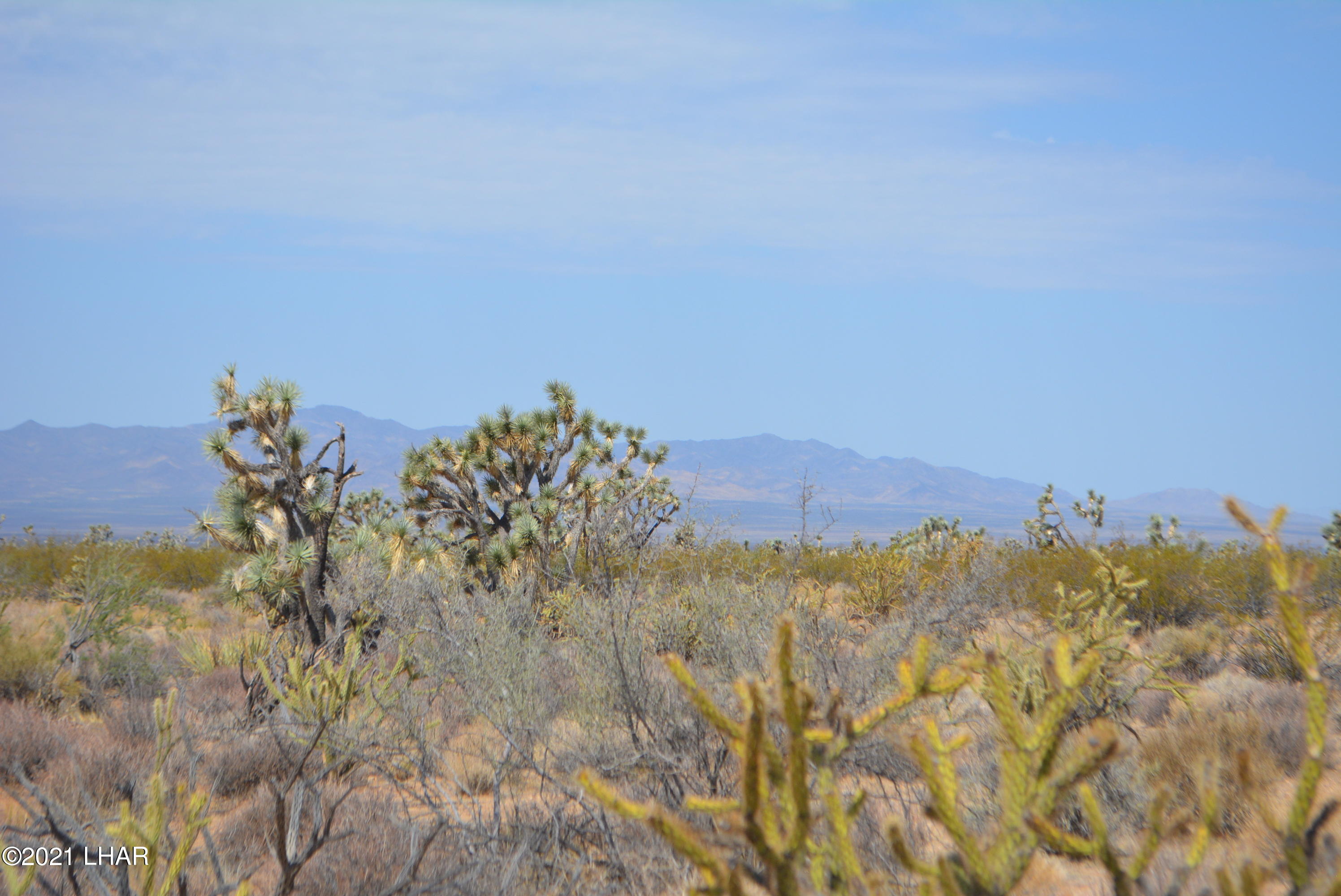 195 South Diamondback Road Yucca, AZ 86438 - Photo 34 of 54 DSC_0473 (2)
