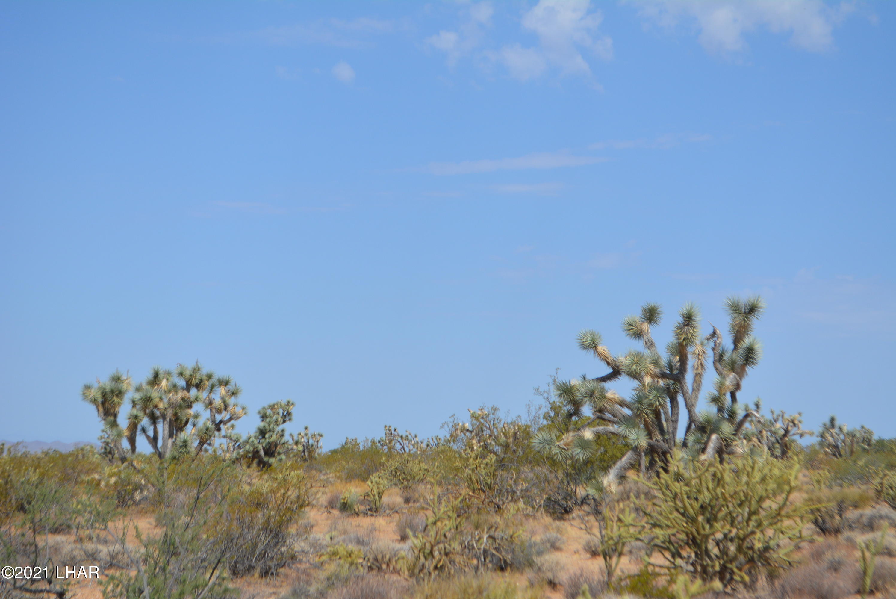 195 South Diamondback Road Yucca, AZ 86438 - Photo 36 of 54 DSC_0475 (2)