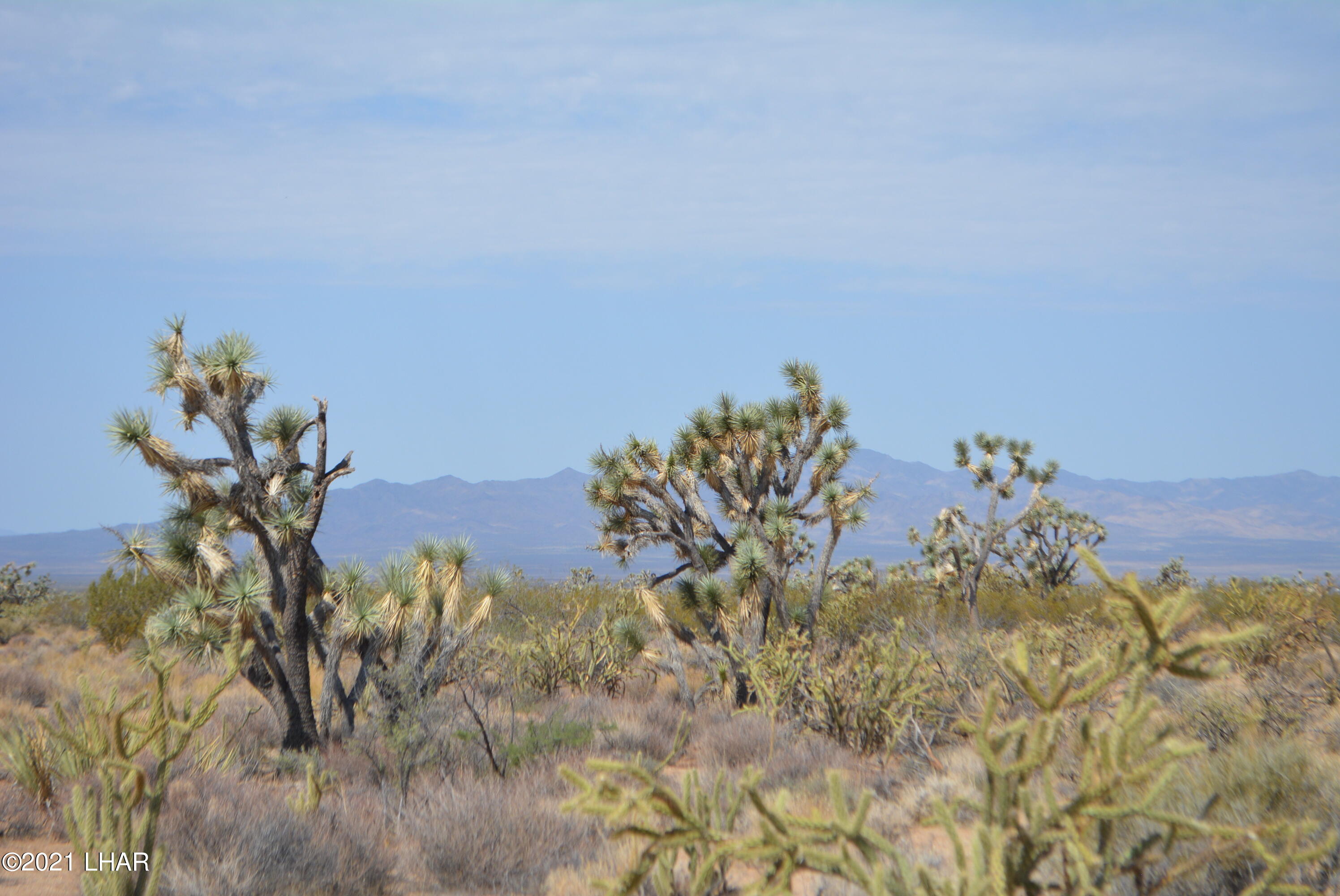 195 South Diamondback Road Yucca, AZ 86438 - Photo 37 of 54 DSC_0476 (2)