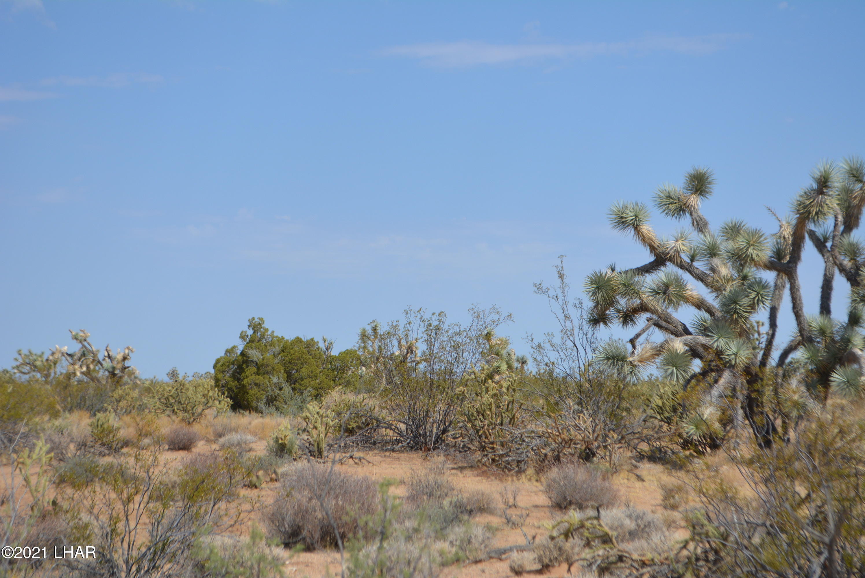 195 South Diamondback Road Yucca, AZ 86438 - Photo 38 of 54 DSC_0477 (2)