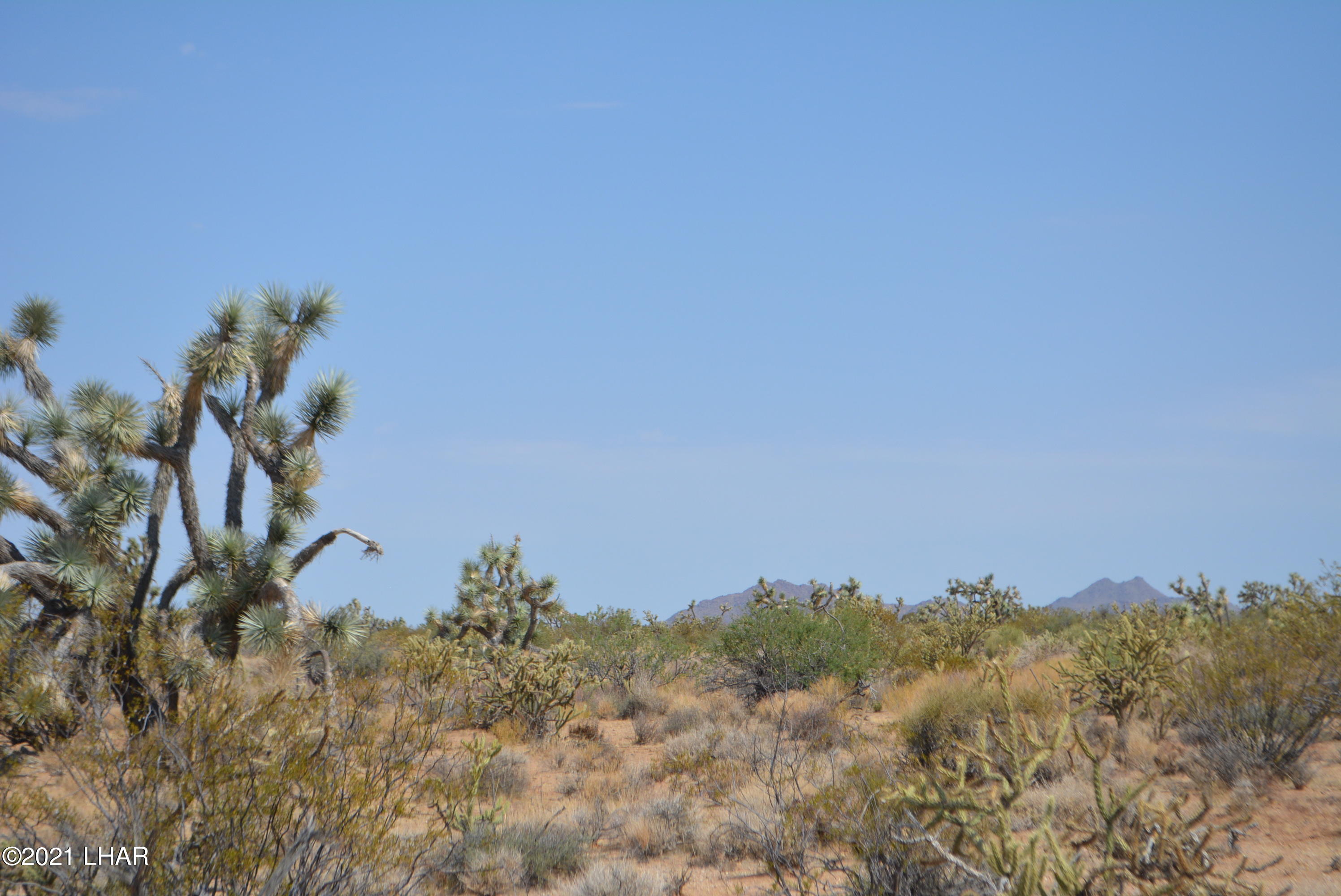 195 South Diamondback Road Yucca, AZ 86438 - Photo 39 of 54 DSC_0478 (2)