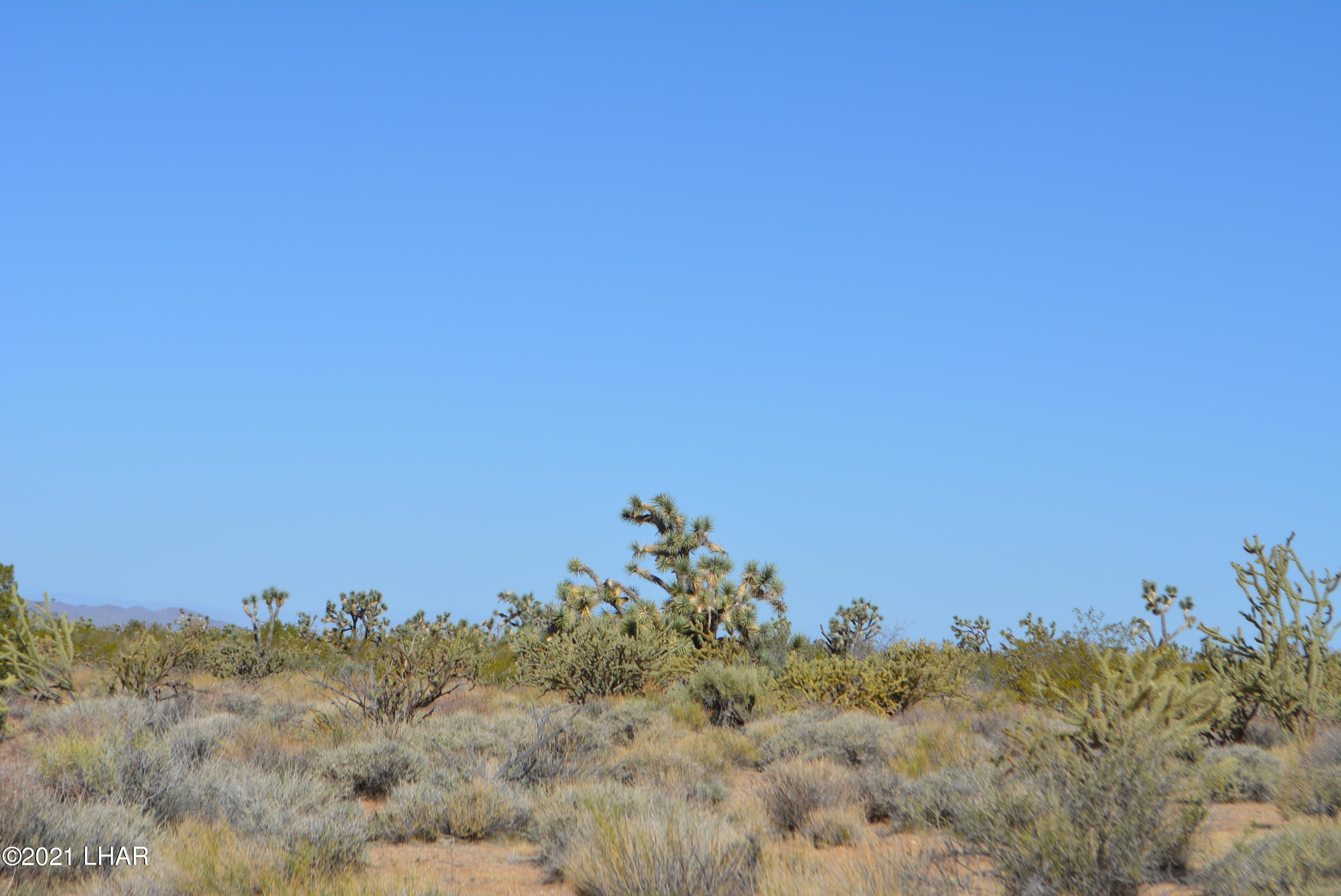 195 South Diamondback Road Yucca, AZ 86438 - Photo 4 of 54 DSC_0161 (1)