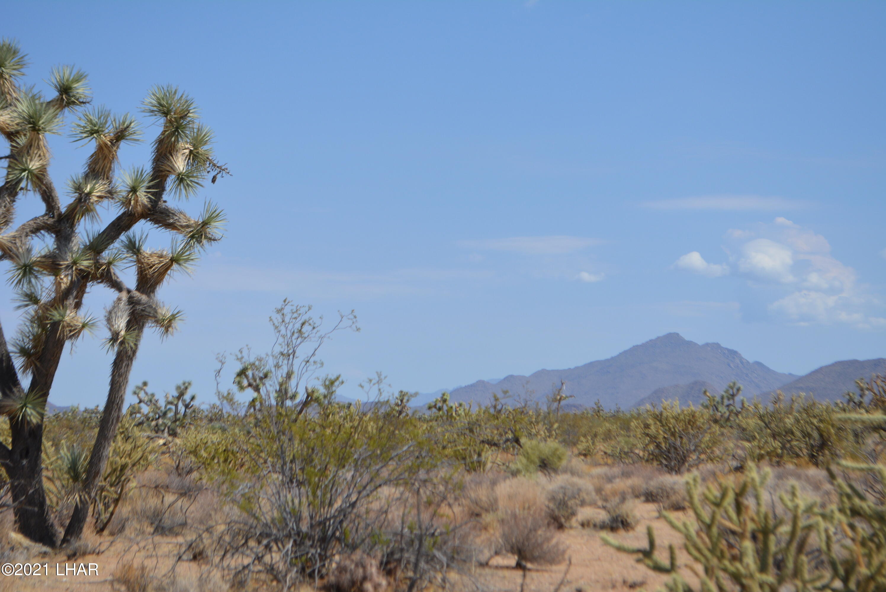 195 South Diamondback Road Yucca, AZ 86438 - Photo 41 of 54 DSC_0480 (2)