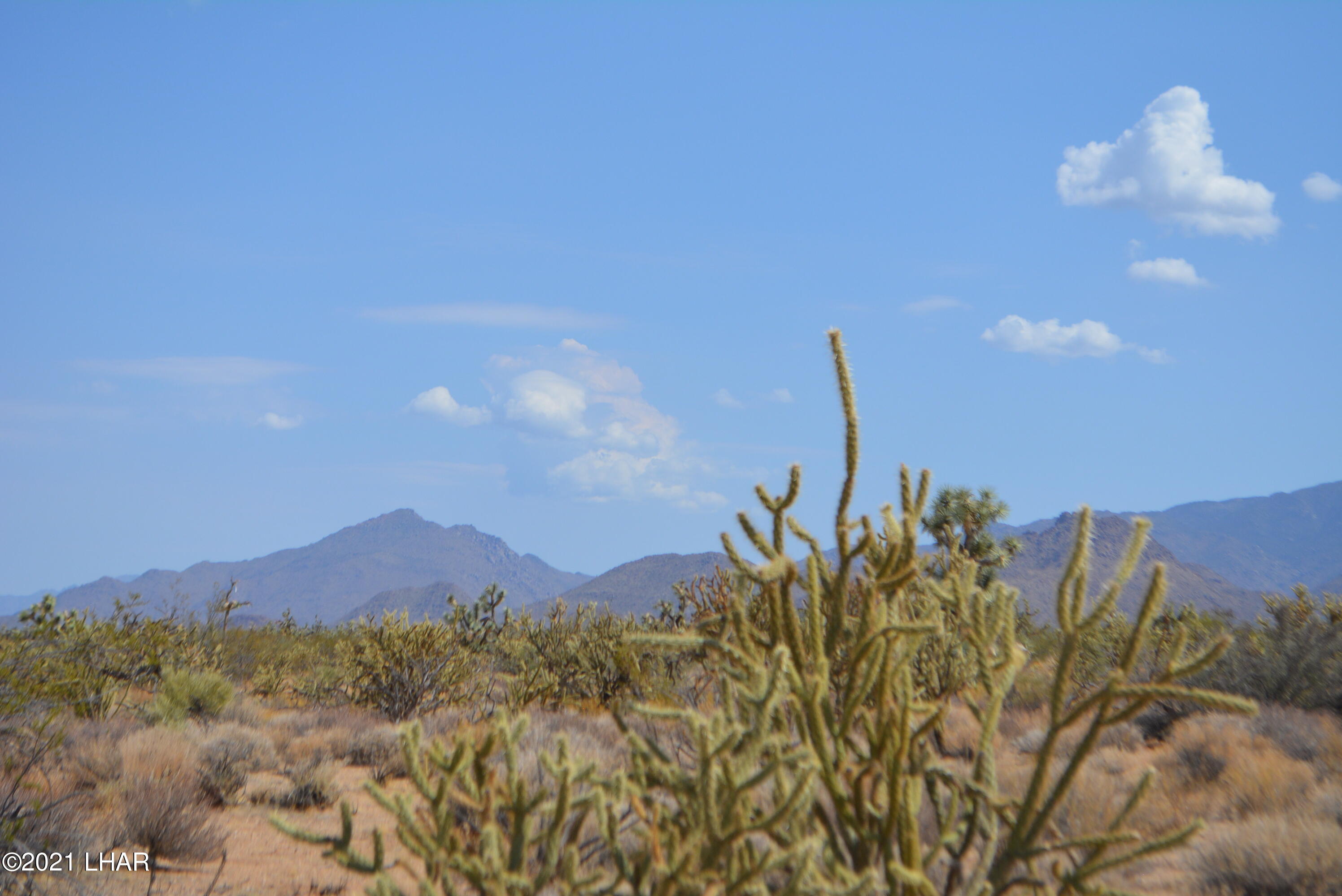 195 South Diamondback Road Yucca, AZ 86438 - Photo 42 of 54 DSC_0481 (2)