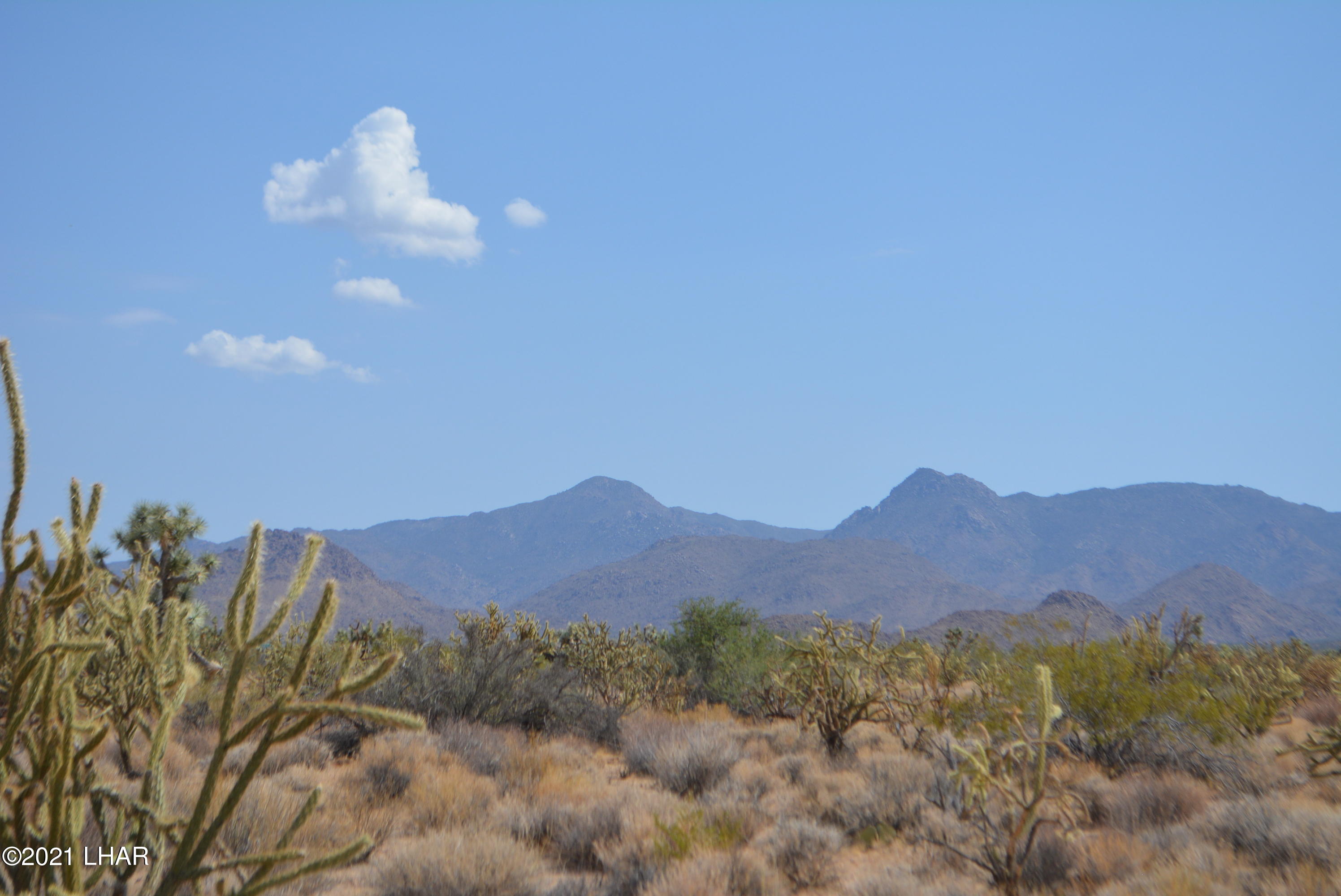 195 South Diamondback Road Yucca, AZ 86438 - Photo 43 of 54 DSC_0482 (2)