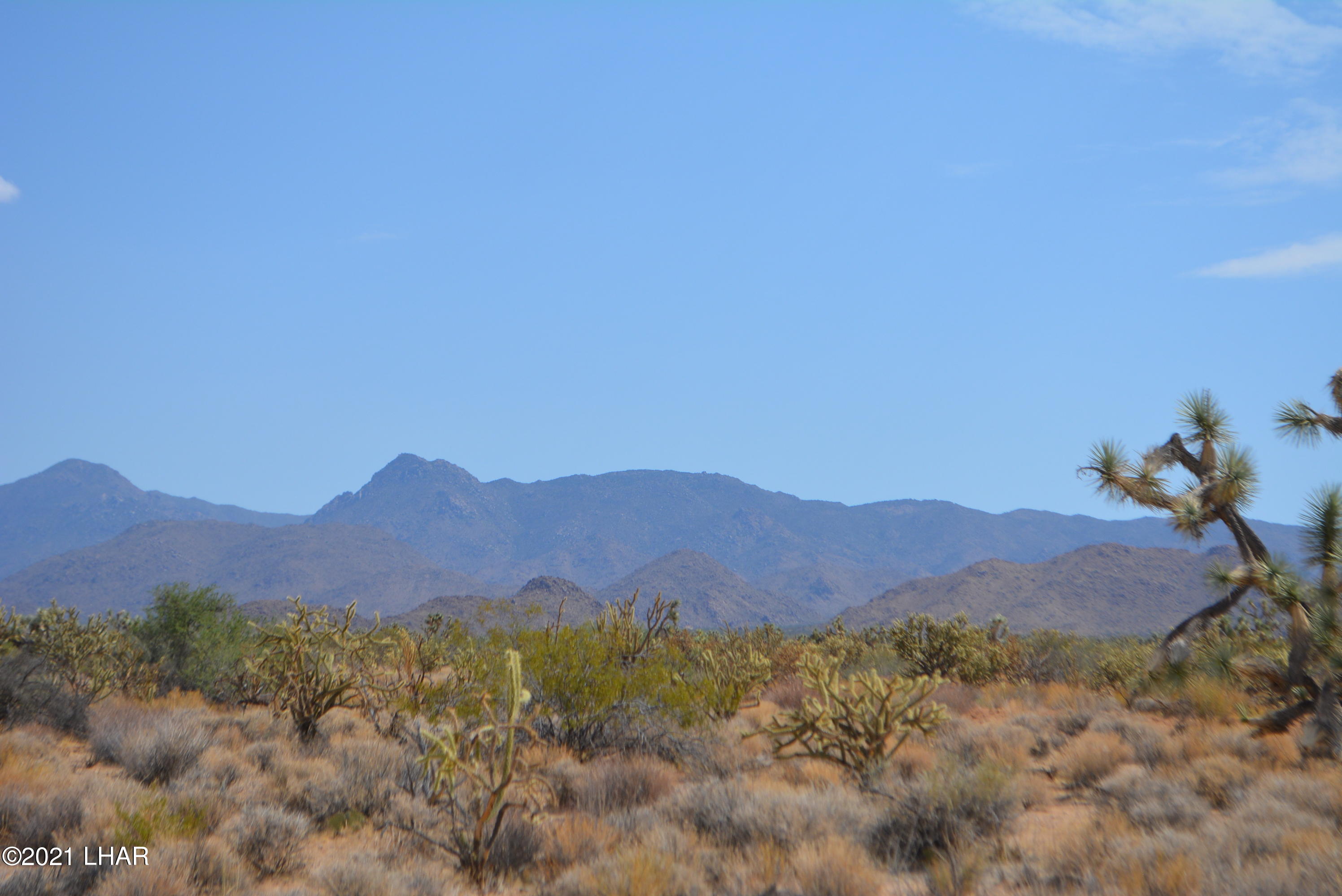 195 South Diamondback Road Yucca, AZ 86438 - Photo 44 of 54 DSC_0483 (2)