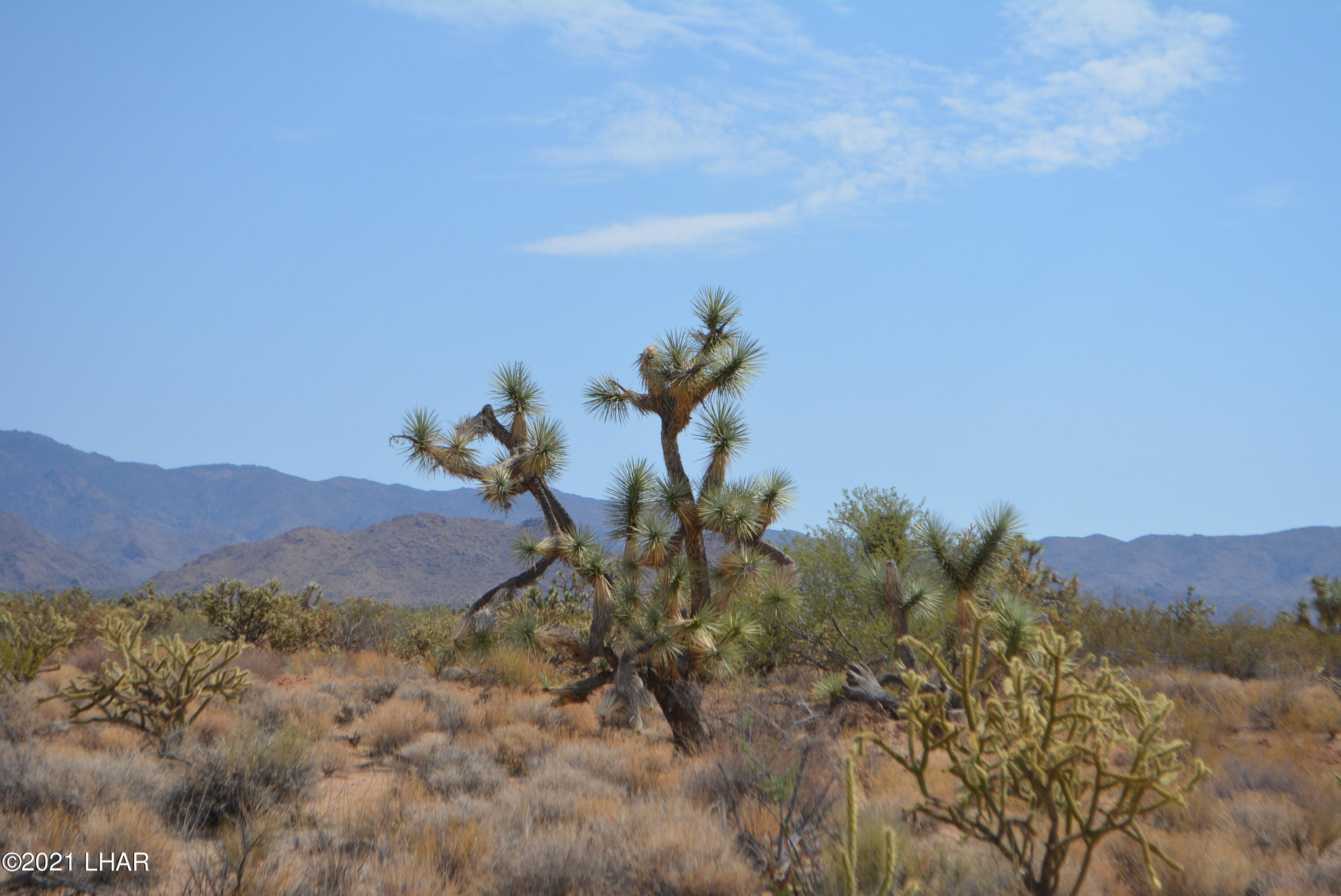 195 South Diamondback Road Yucca, AZ 86438 - Photo 45 of 54 DSC_0484 (2)