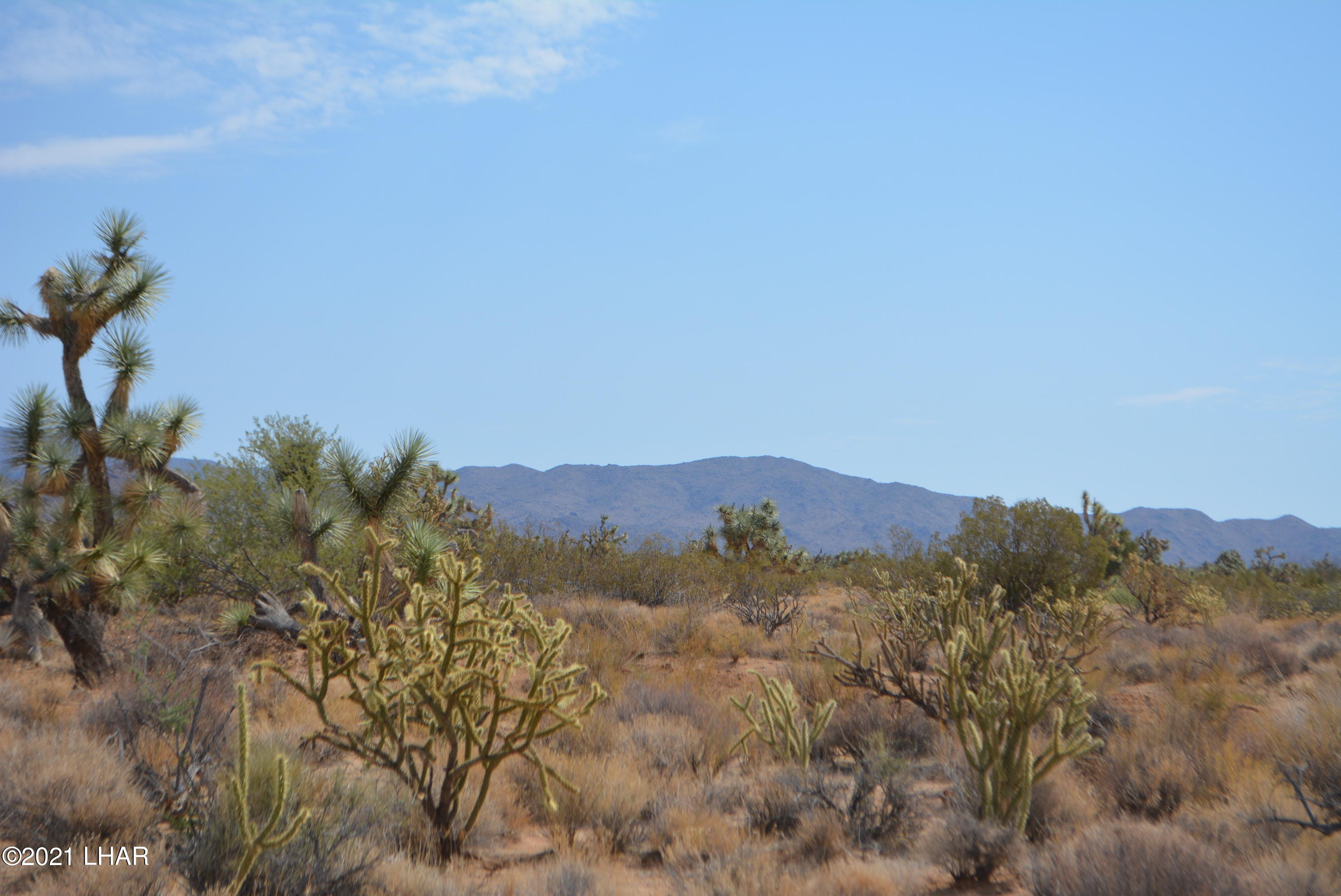 195 South Diamondback Road Yucca, AZ 86438 - Photo 46 of 54 DSC_0485 (2)