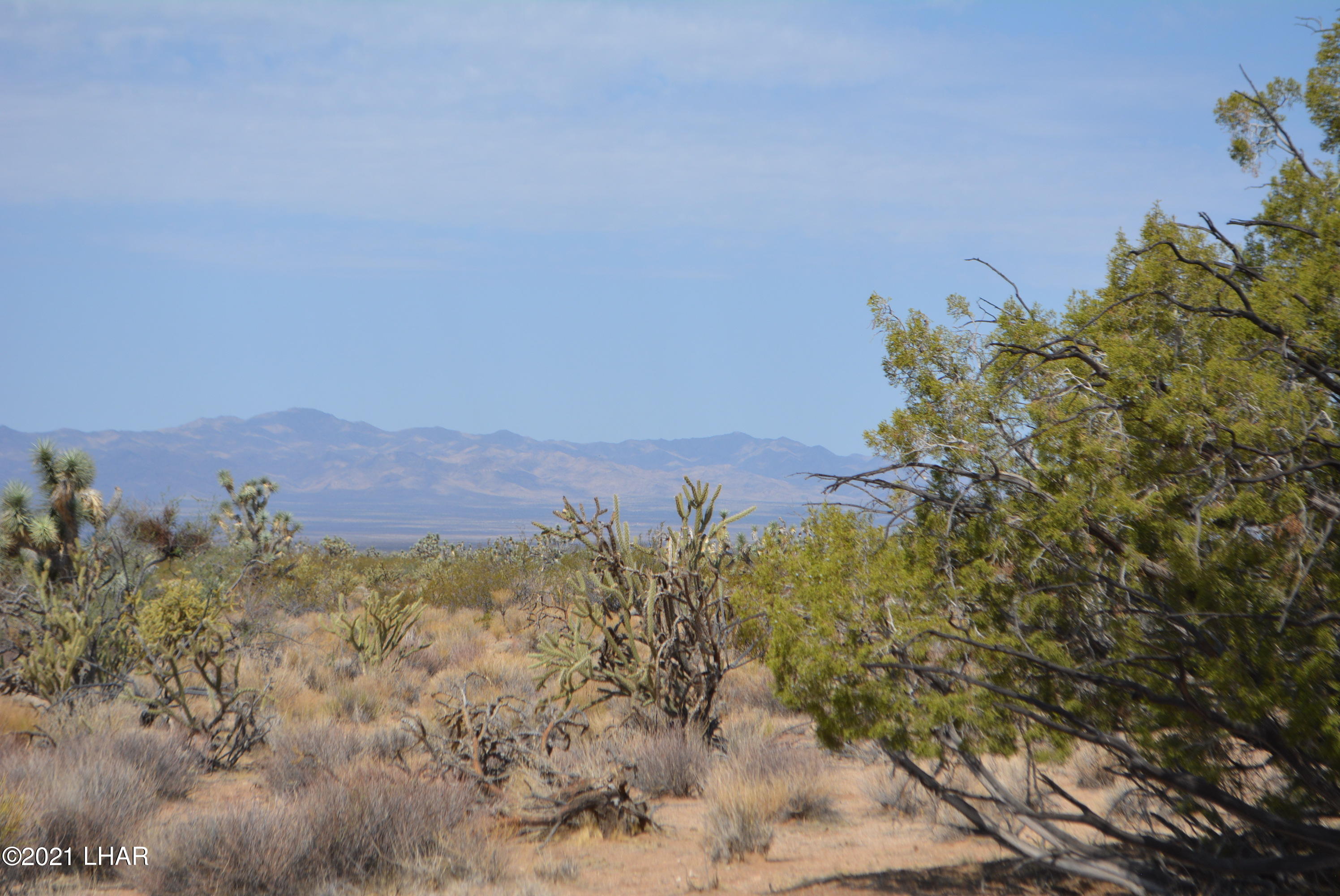 195 South Diamondback Road Yucca, AZ 86438 - Photo 47 of 54 DSC_0486 (3)
