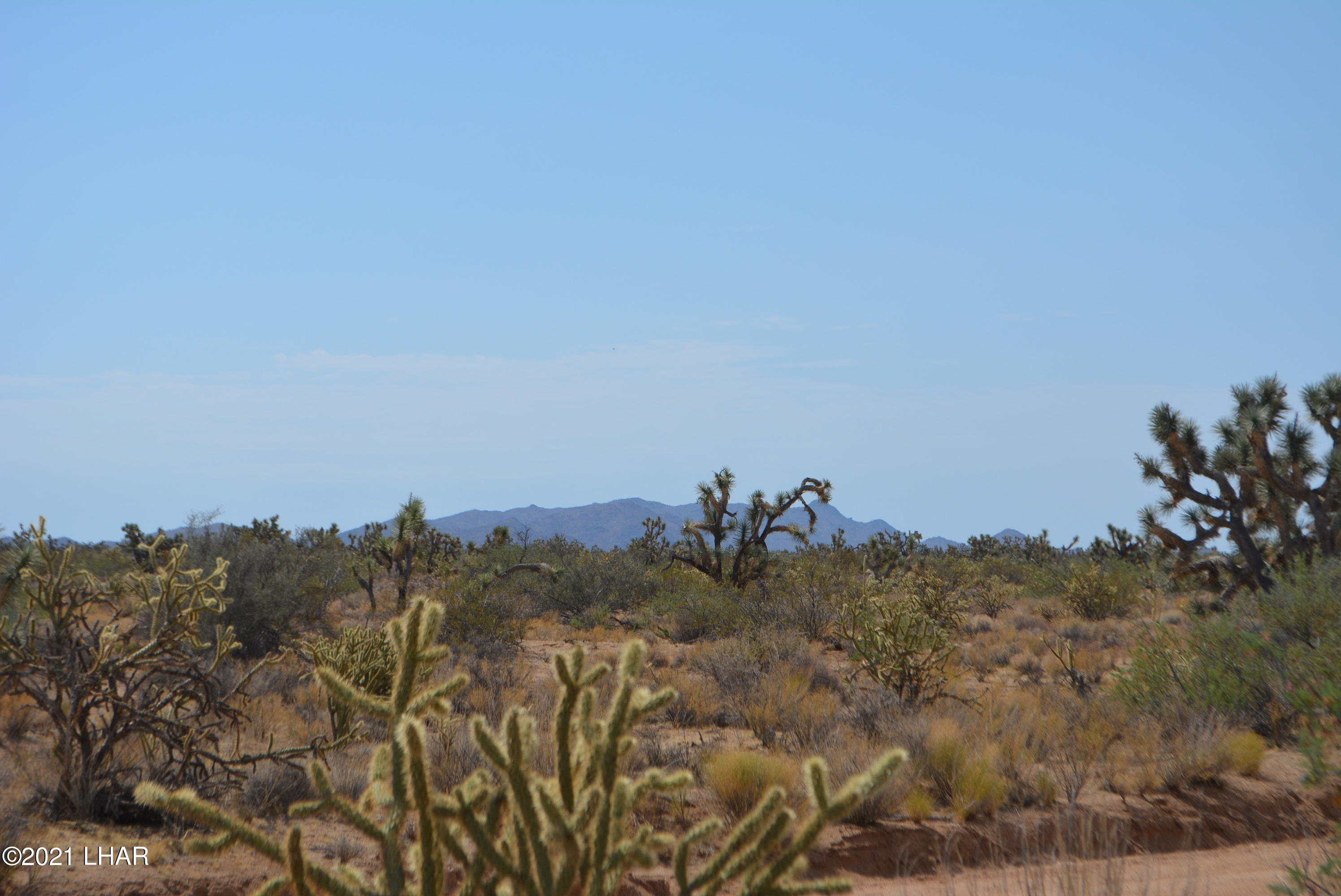 195 South Diamondback Road Yucca, AZ 86438 - Photo 48 of 54 DSC_0487 (3)
