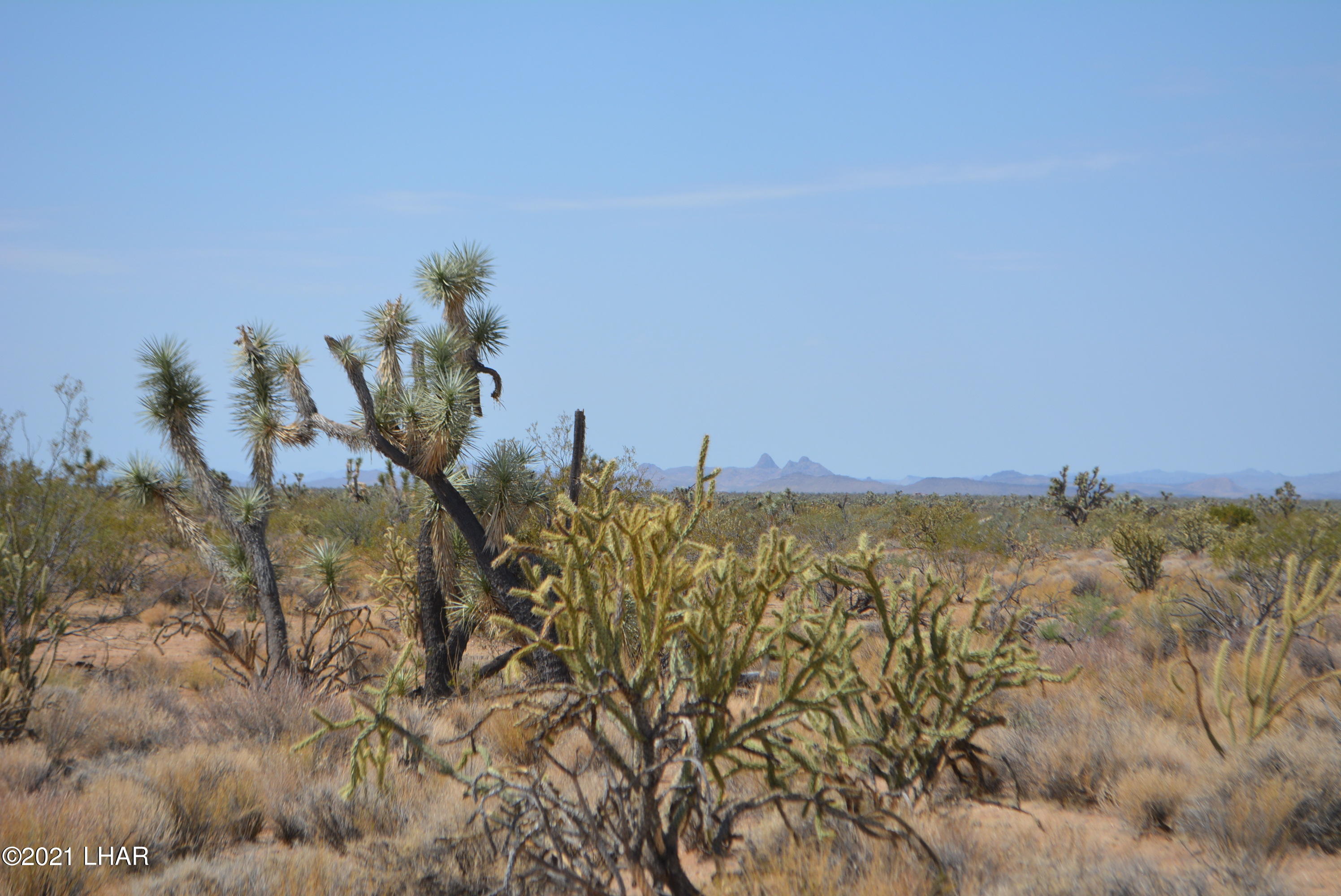 195 South Diamondback Road Yucca, AZ 86438 - Photo 49 of 54 DSC_0488 (2)