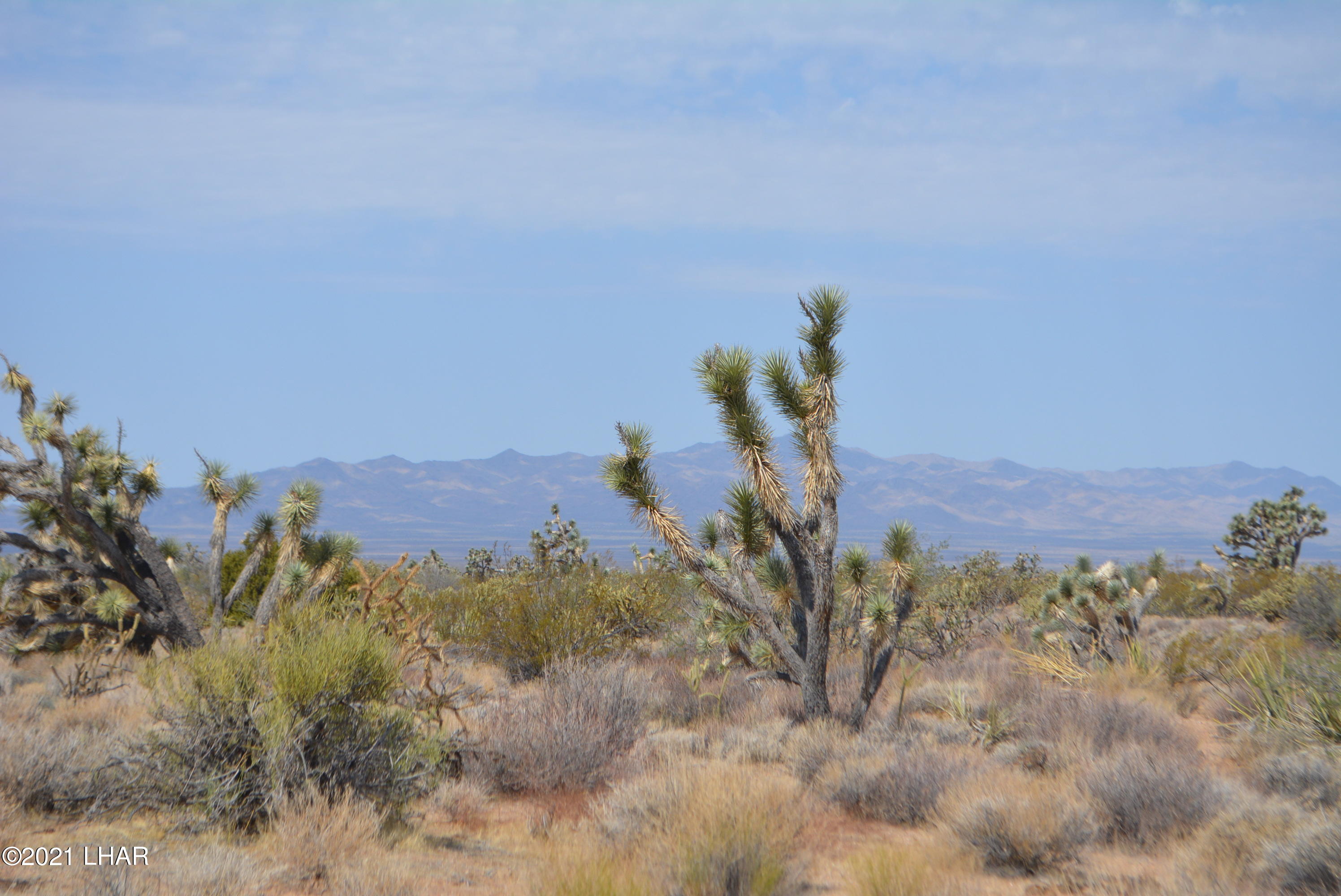 195 South Diamondback Road Yucca, AZ 86438 - Photo 50 of 54 DSC_0489 (2)