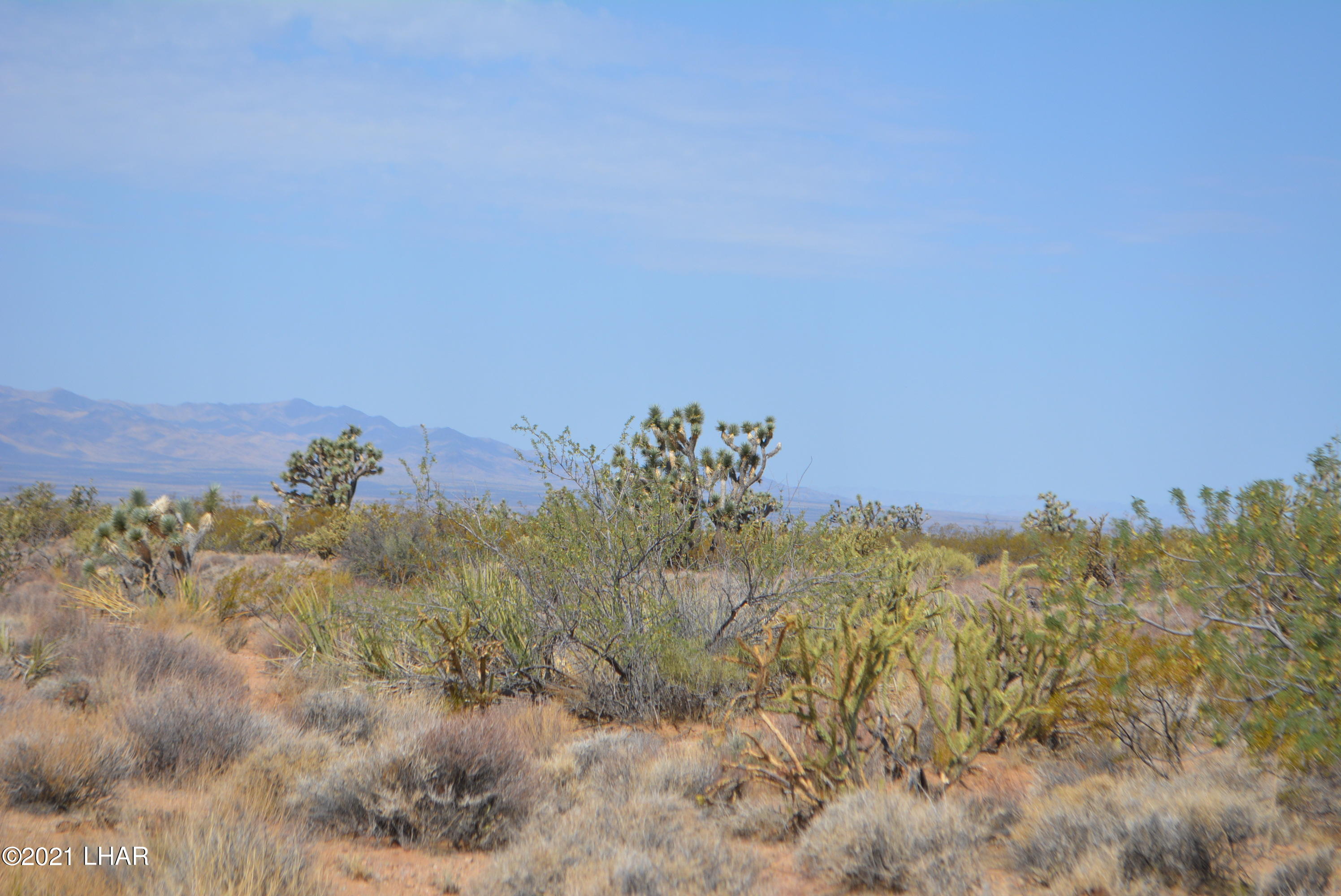 195 South Diamondback Road Yucca, AZ 86438 - Photo 51 of 54 DSC_0490 (2)