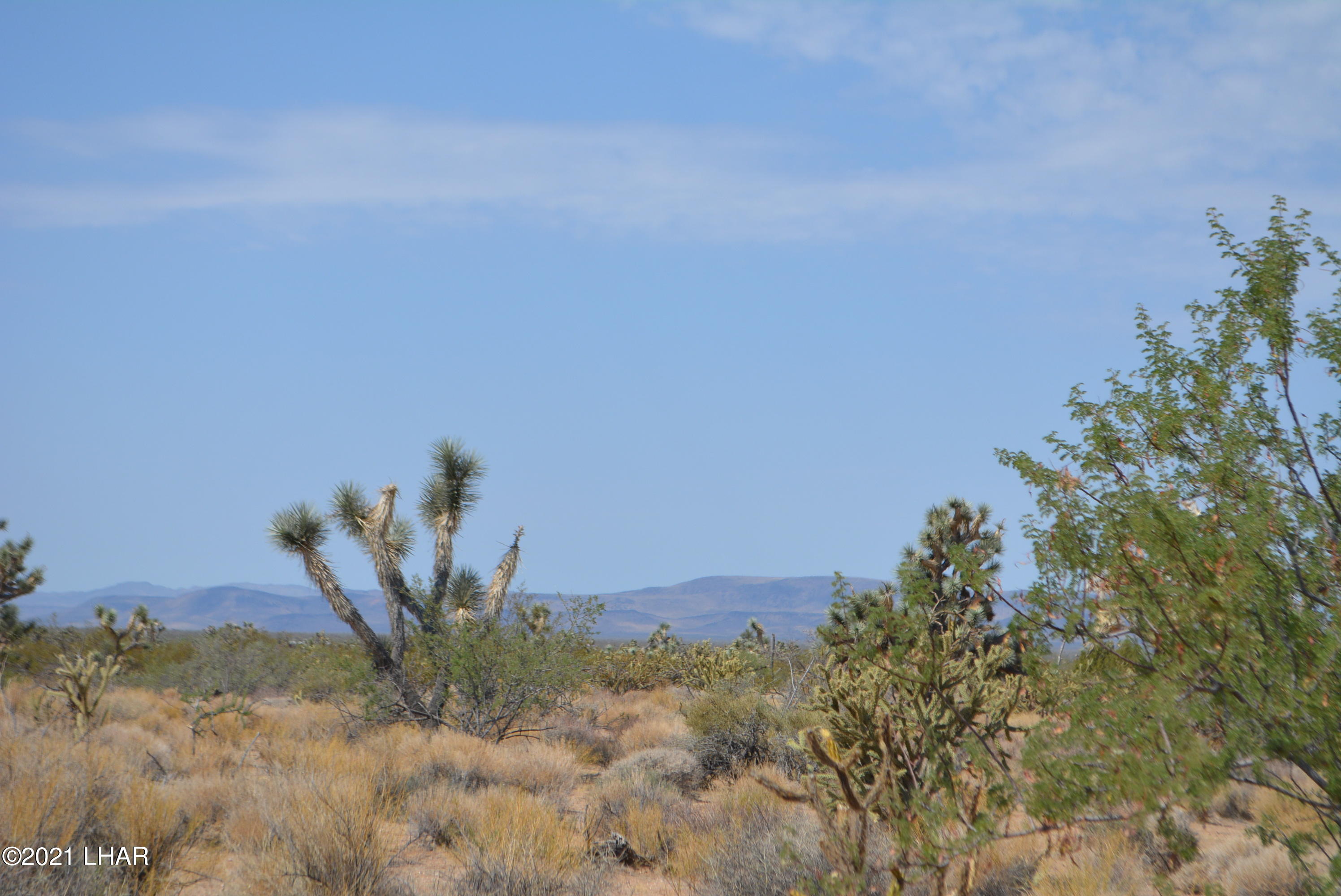 195 South Diamondback Road Yucca, AZ 86438 - Photo 52 of 54 DSC_0491 (2)