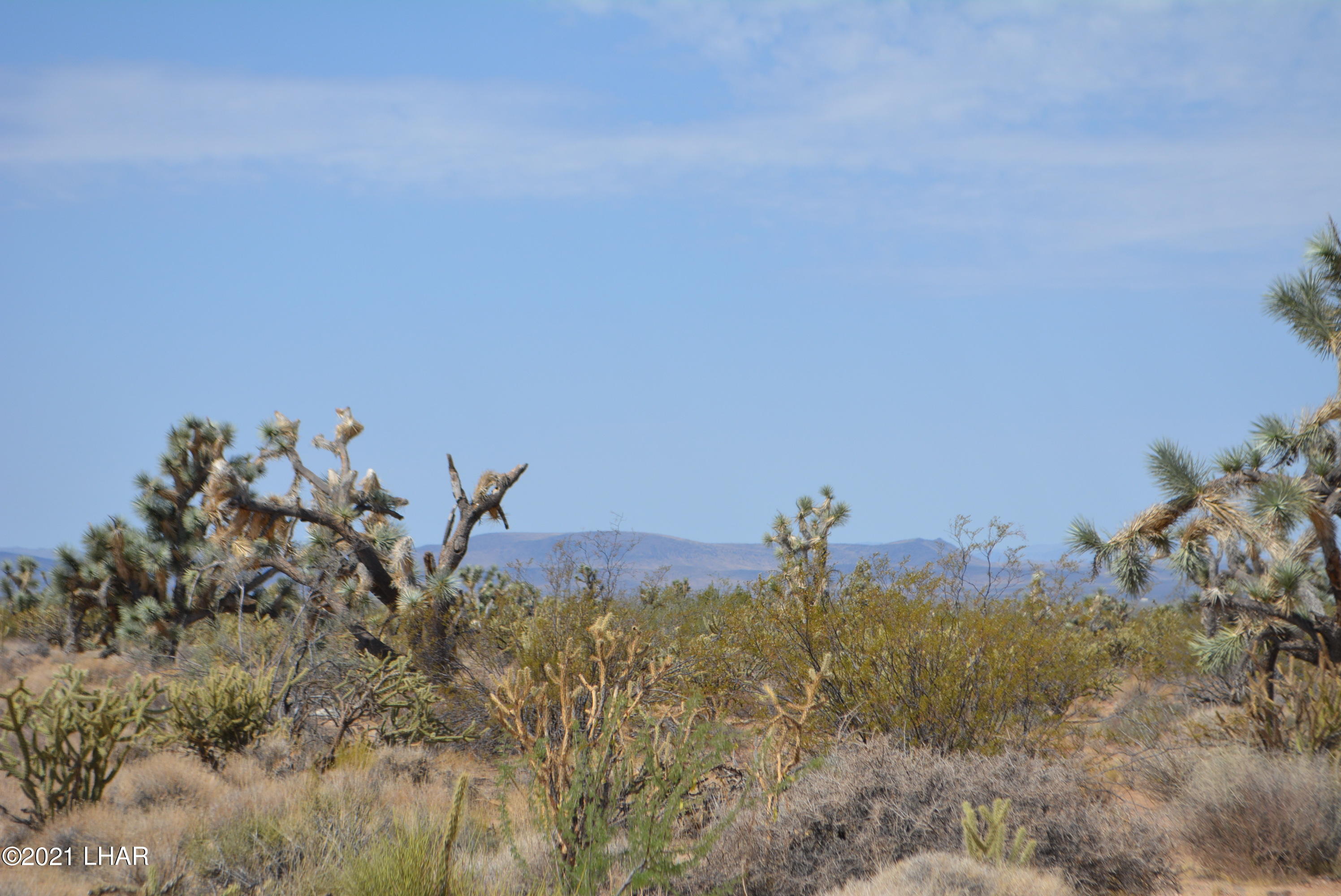 195 South Diamondback Road Yucca, AZ 86438 - Photo 53 of 54 DSC_0492 (2)