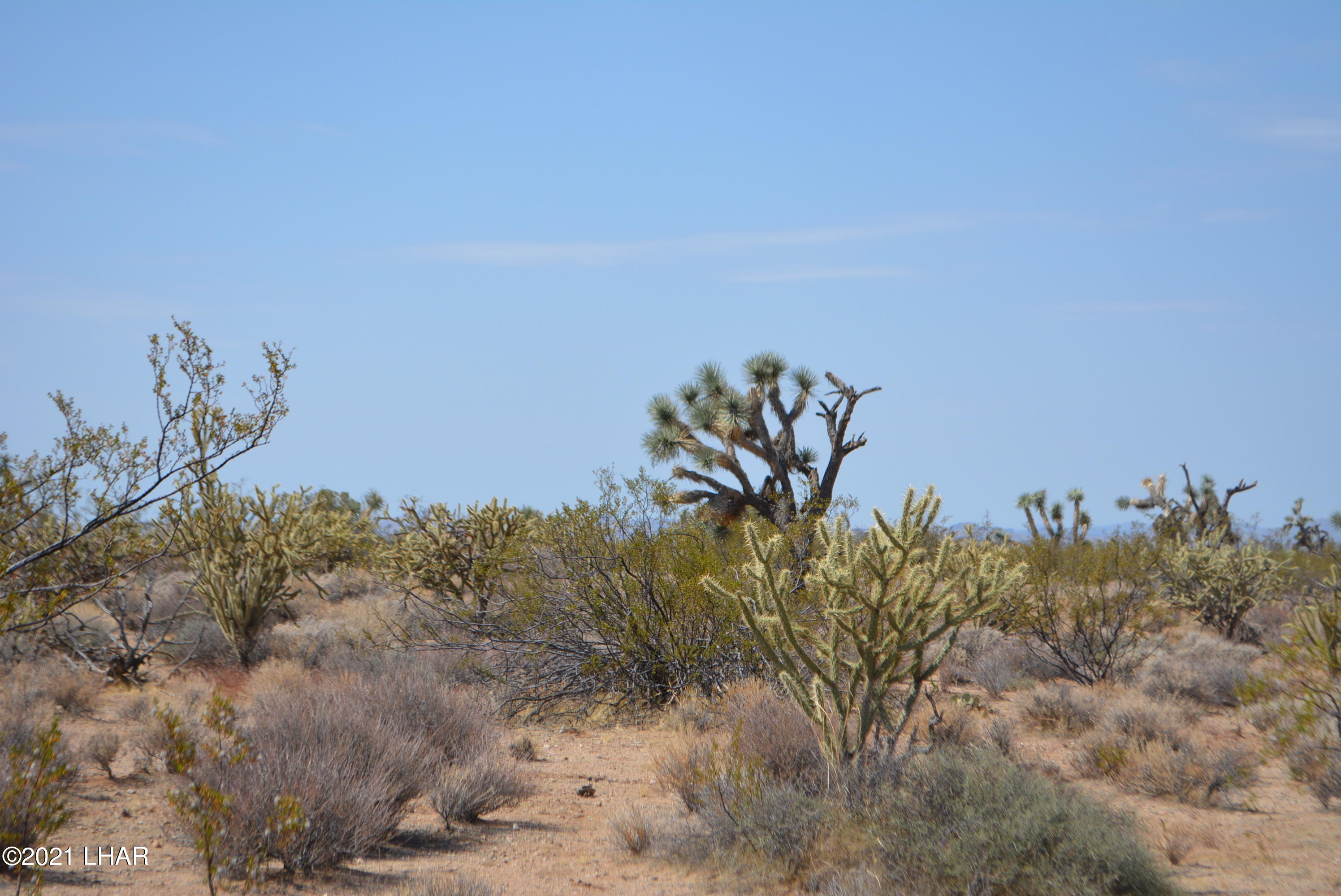 195 South Diamondback Road Yucca, AZ 86438 - Photo 54 of 54 DSC_0493 (2)