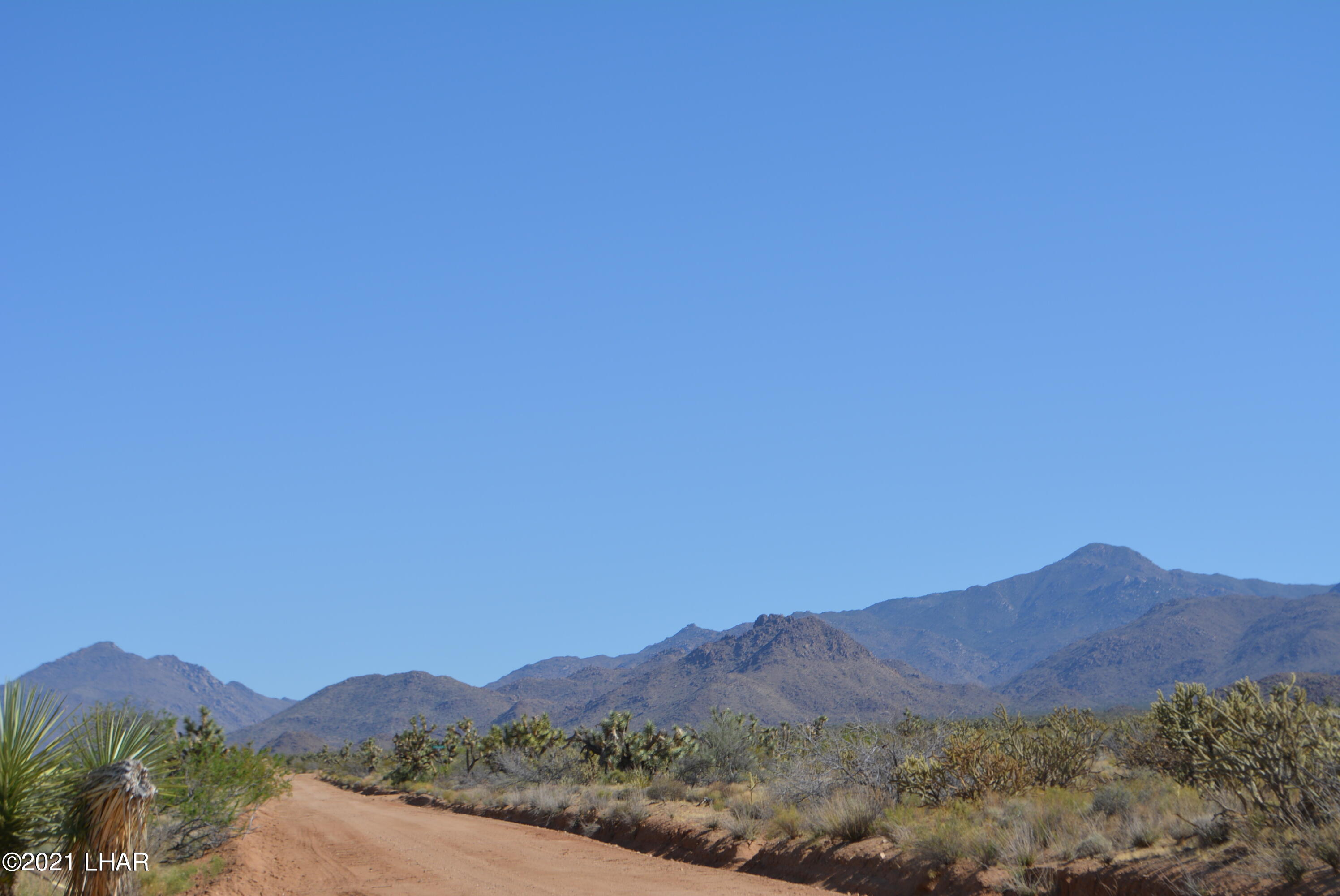 195 South Diamondback Road Yucca, AZ 86438 - Photo 6 of 54 DSC_0163 (1)