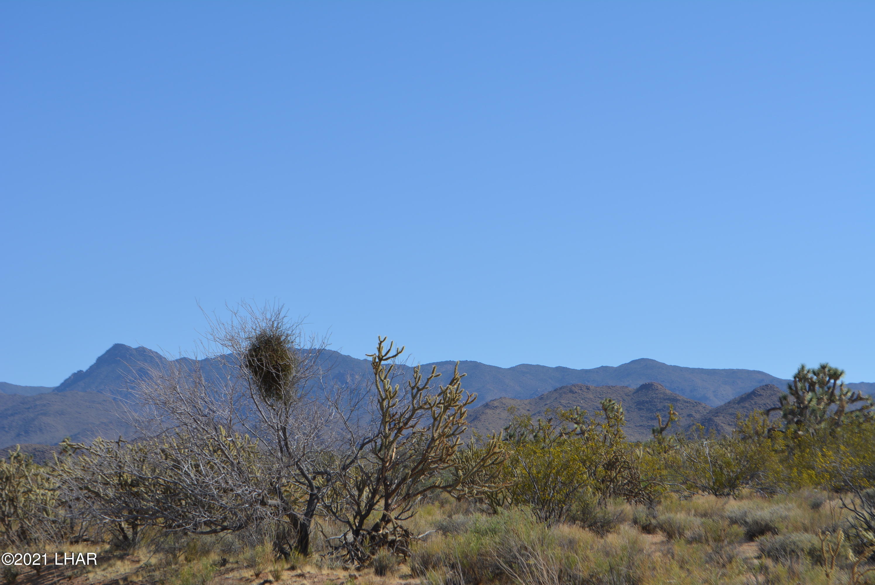 195 South Diamondback Road Yucca, AZ 86438 - Photo 7 of 54 DSC_0164 (1)