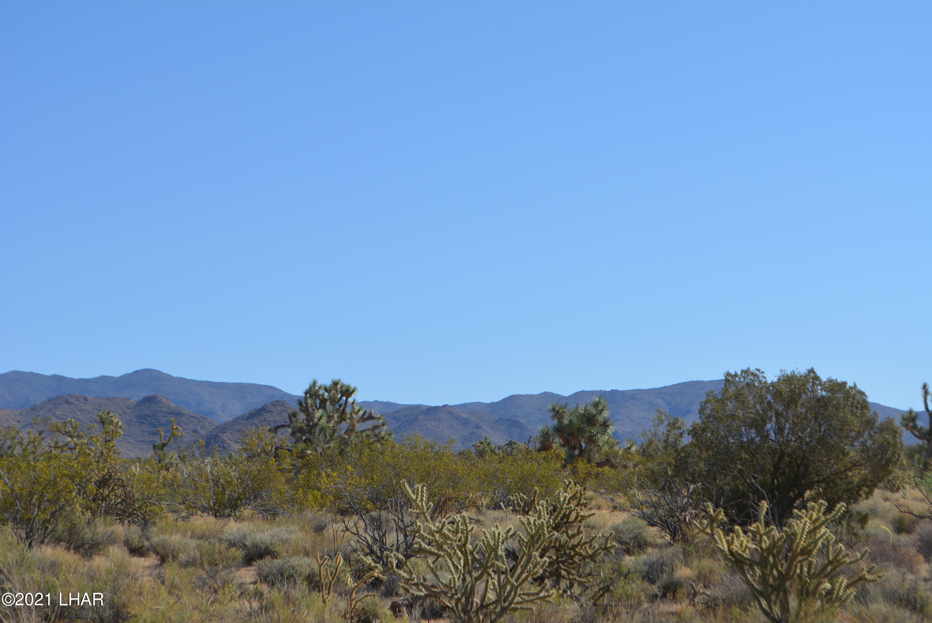 195 South Diamondback Road Yucca, AZ 86438 - Photo 8 of 54 DSC_0165 (1)