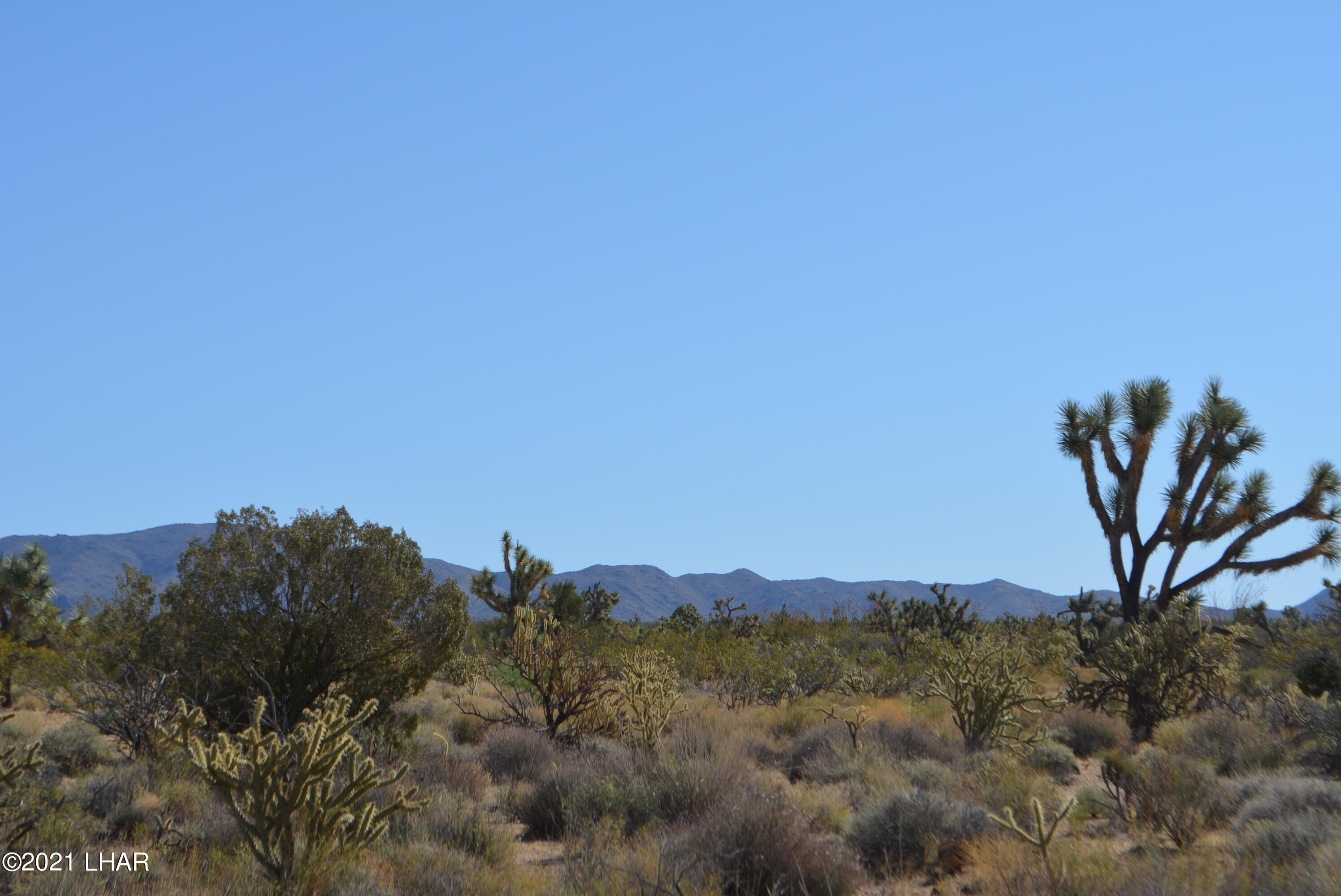 195 South Diamondback Road Yucca, AZ 86438 - Photo 9 of 54 DSC_0166 (1)