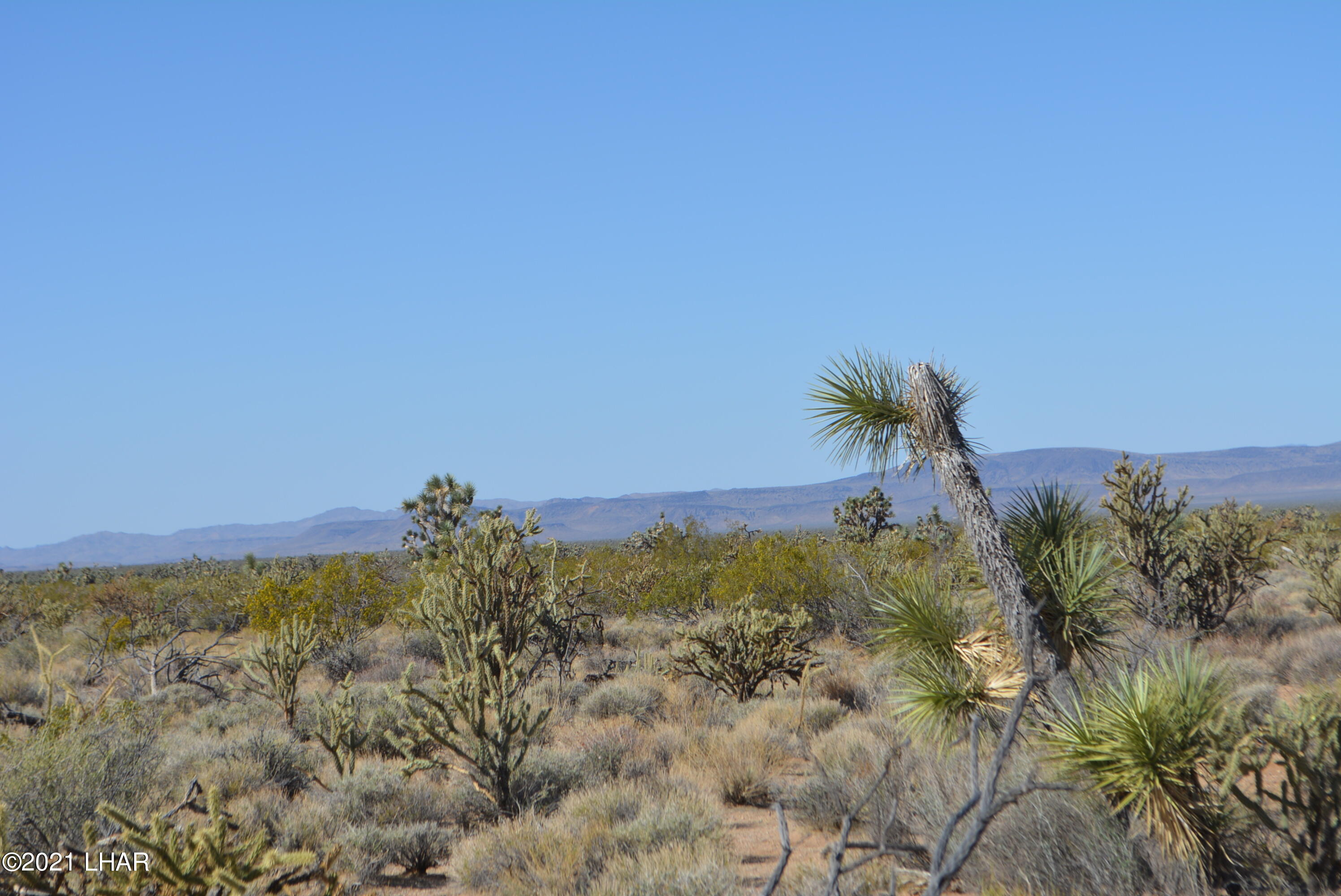 195 South Diamondback Road Yucca, AZ 86438 - Photo 10 of 54 DSC_0167 (1)