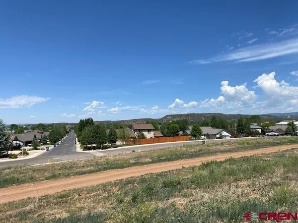 a view of a yard with palm tree