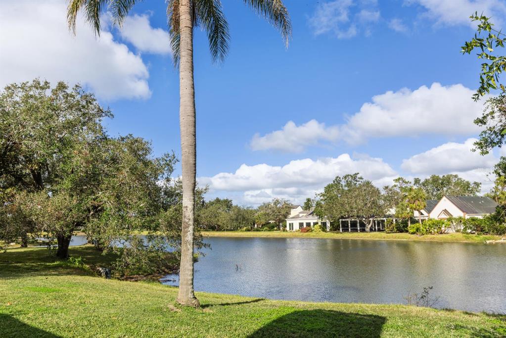 49 Osprey Point Drive Osprey, FL 34229 - Photo 75 of 95 a view of a lake with houses in the back