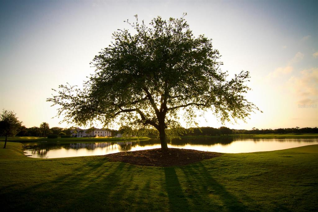 49 Osprey Point Drive Osprey, FL 34229 - Photo 93 of 95
