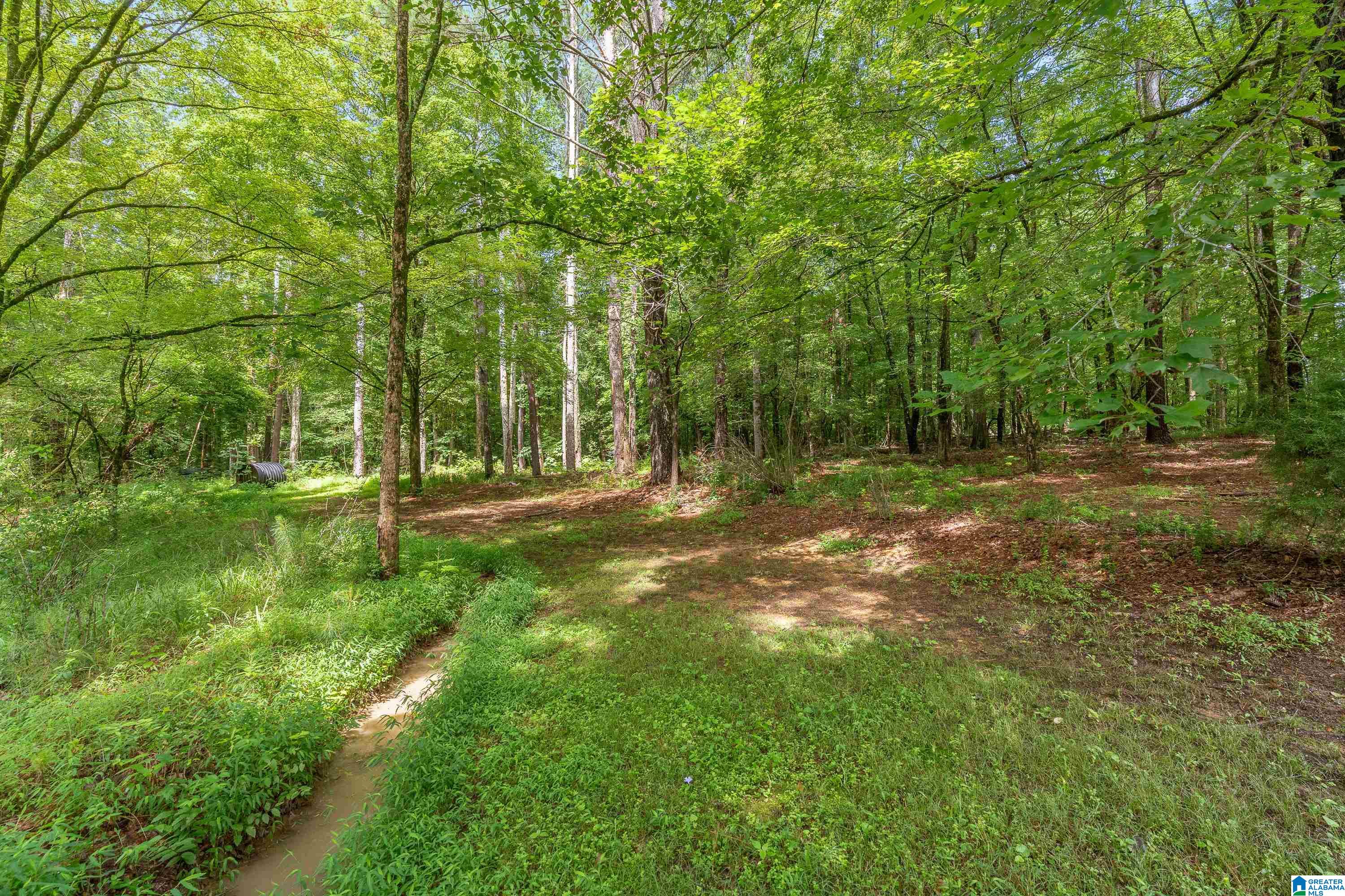 1658 Montevallo Road Leeds, AL 35094 - Photo 33 of 54