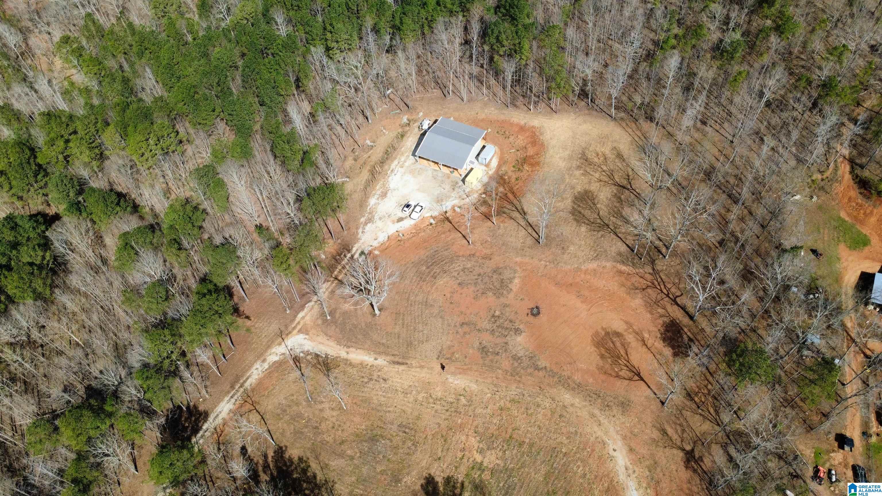 8235 County Road 10 Ranburne, AL 36273 - Photo 14 of 16