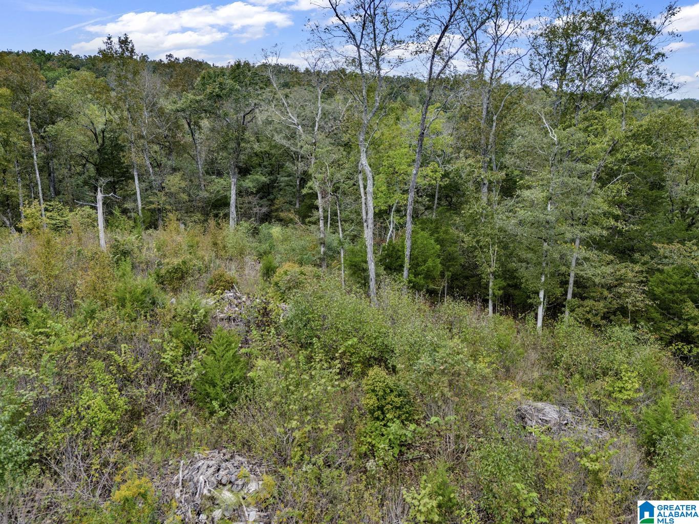 0 Highway 75 Remlap, AL 35133 - Photo 4 of 6