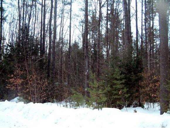 14 Province Brook Road Chatham, NH 03813 - Photo 1 of 1 Gallery Image 1