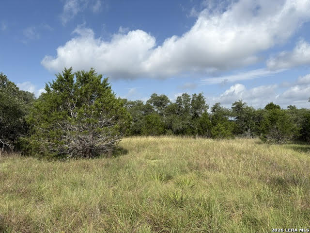 351 Ridge Point Spring Branch, TX 78070 - Photo 13 of 34