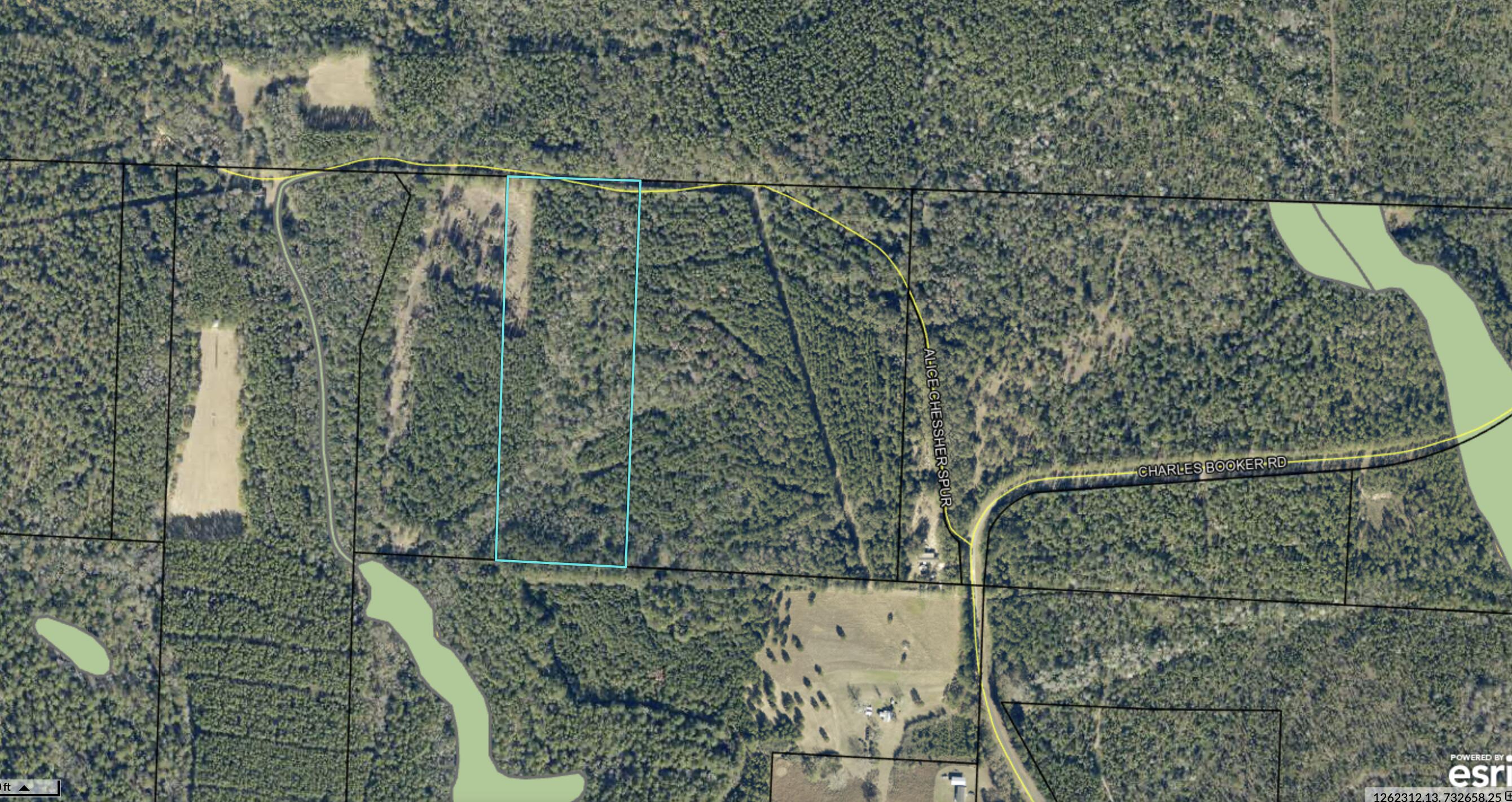 Tbd Charles Booker Road Baker, FL 32531 - Photo 1 of 3 Potential Wetlands Mapper