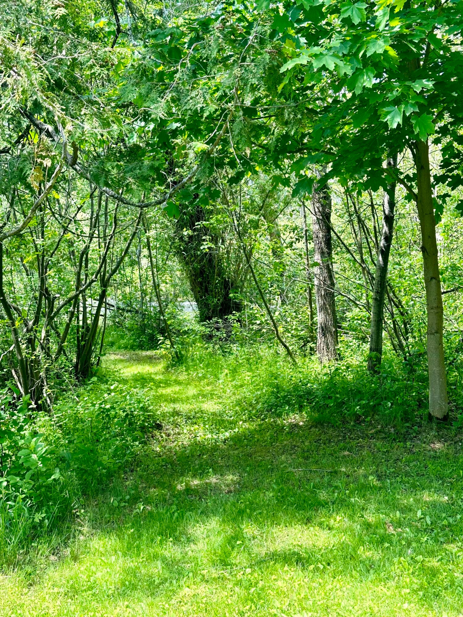 10085 Twin Bridge Road Grayling, MI 49738 - Photo 80 of 85 Gallery Image 80