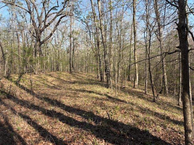 0 Gooch Store Road Hornsby, TN 38044 - Photo 6 of 9 Gallery Image 6
