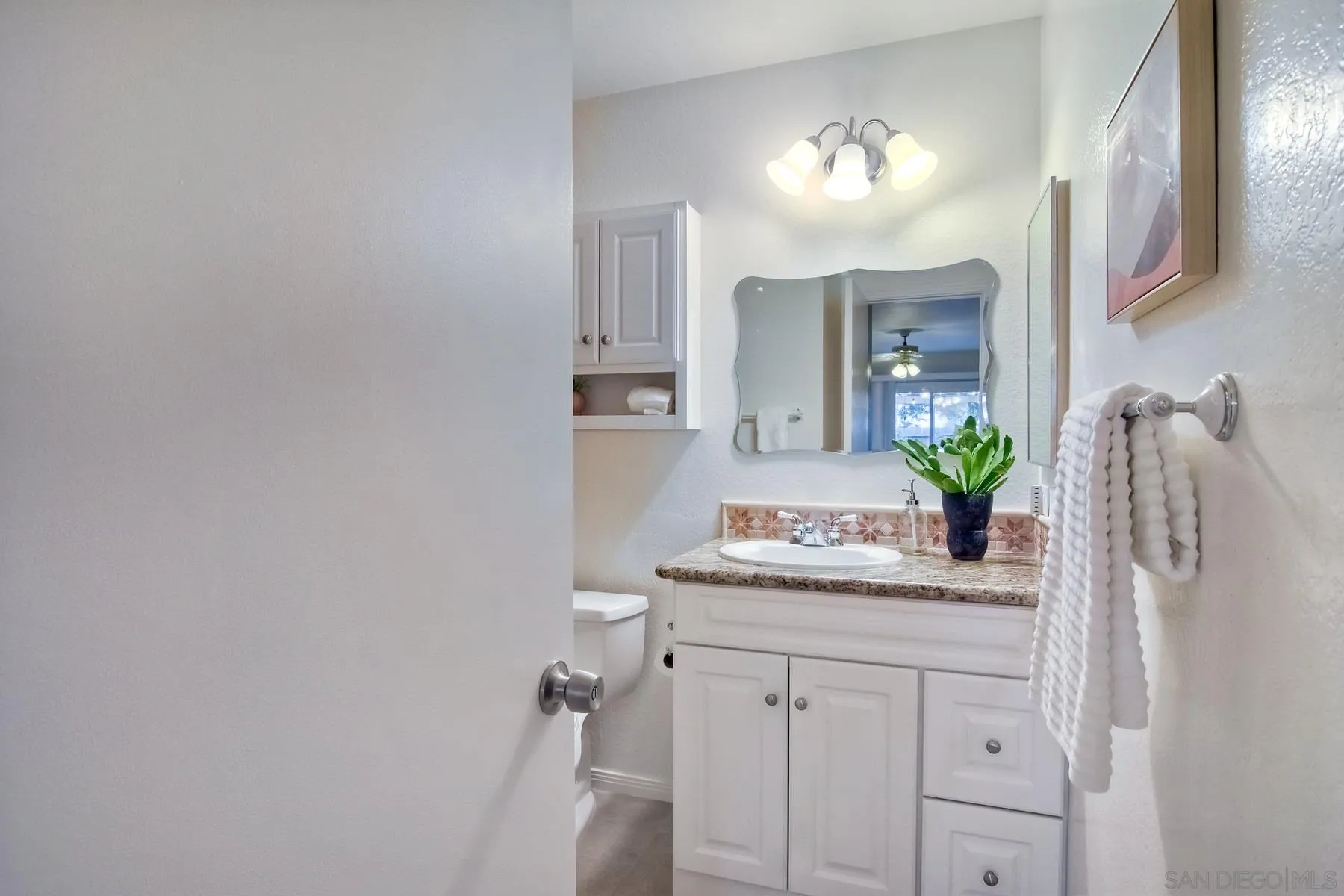 803 Caminito Azul Carlsbad, CA 92011 - Photo 26 of 41 a bathroom with a sink vanity and a mirror