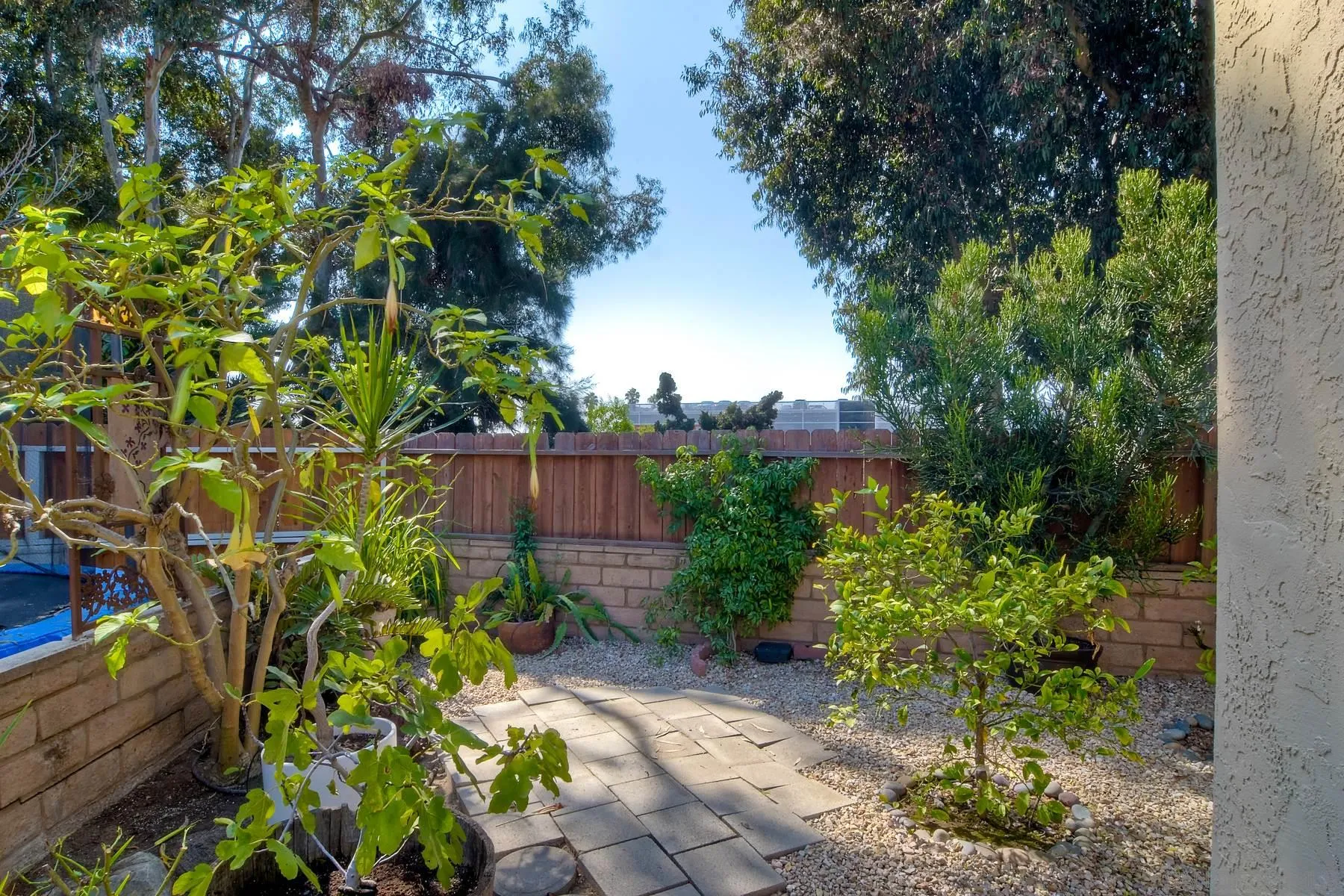803 Caminito Azul Carlsbad, CA 92011 - Photo 34 of 41 a backyard of a house with lots of green space