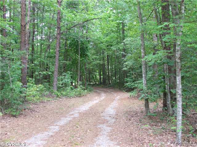 5809 Plank Road Kenbridge, VA 23944 - Photo 3 of 4 a view of a forest with trees in the background