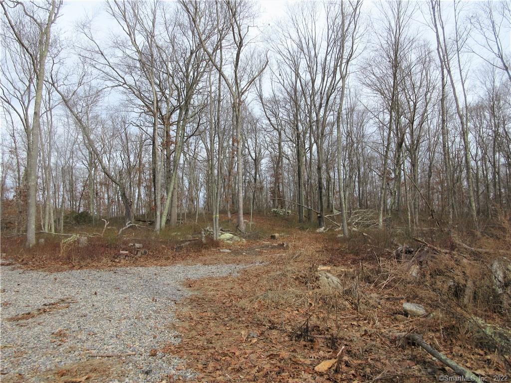 91 Butlertown Road Waterford, CT 06385 - Photo 1 of 1 Driveway from Butlertown