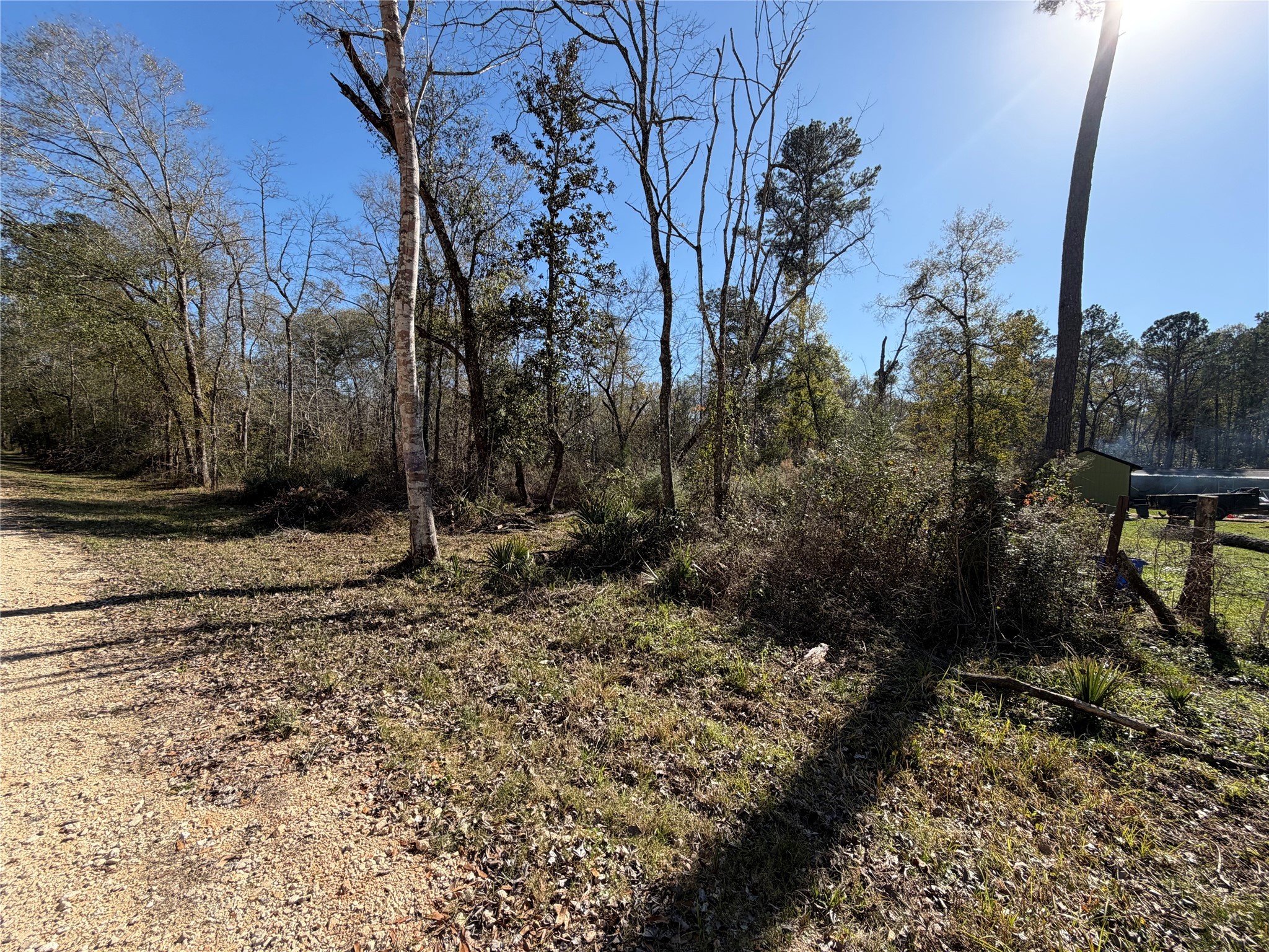 Tbd Little Lane Shepherd, TX 77371 - Photo 2 of 7 a view of a yard with trees