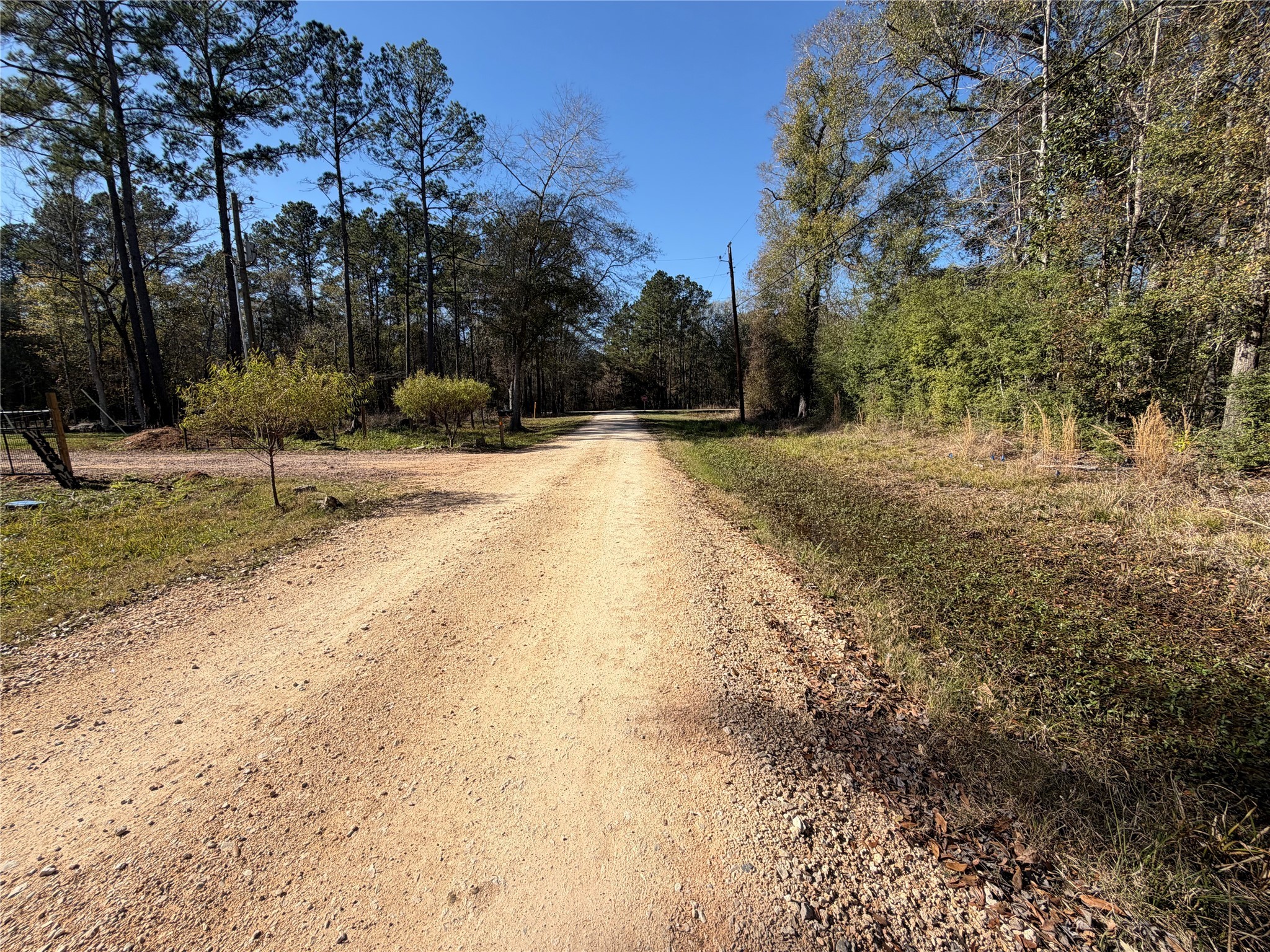 Tbd Little Lane Shepherd, TX 77371 - Photo 6 of 7 a view of a yard with trees