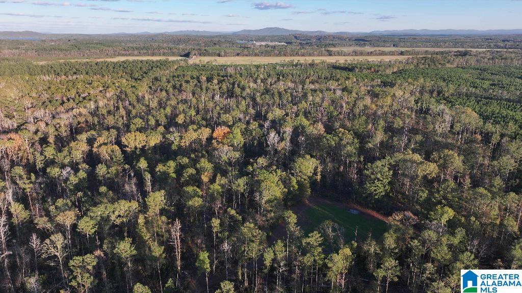 200 Kelly Creek Road Odenville, AL 35120 - Photo 23 of 47