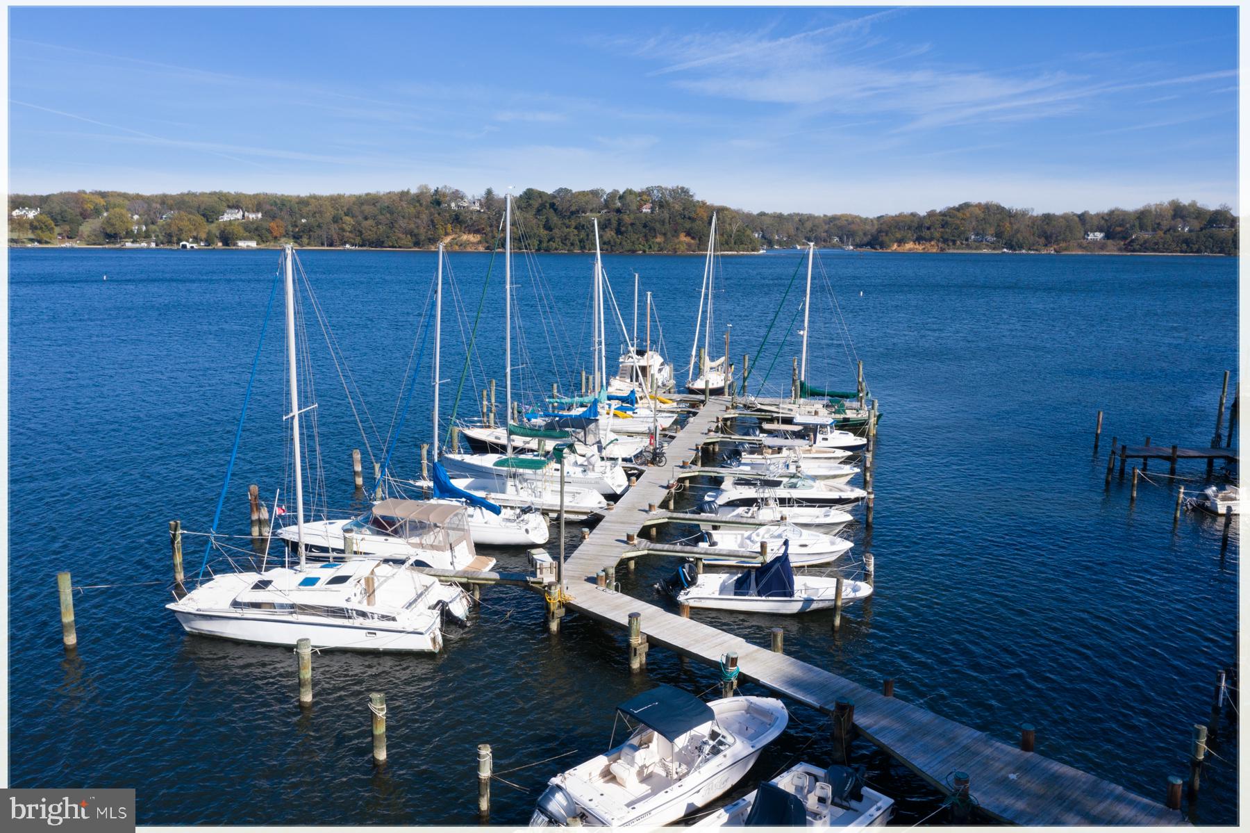 310 Epping Way Annapolis, MD 21401 - Photo 38 of 42 Community marina