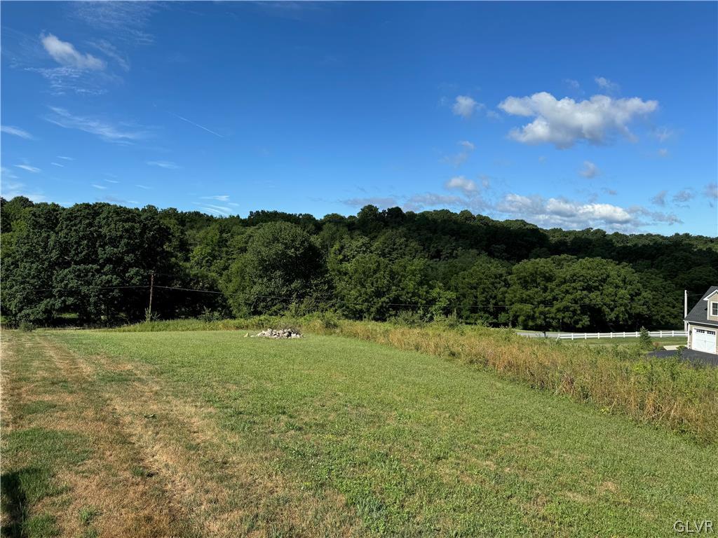 2549 Boger Stadt Road Fogelsville, PA 18051 - Photo 6 of 10