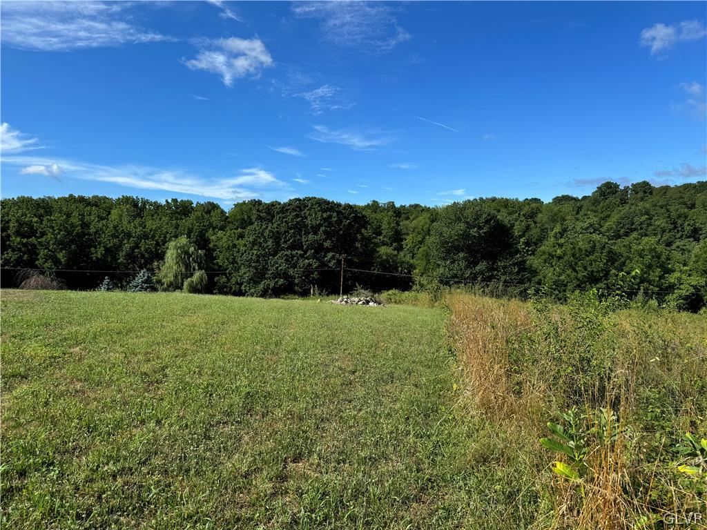 2549 Boger Stadt Road Fogelsville, PA 18051 - Photo 7 of 10