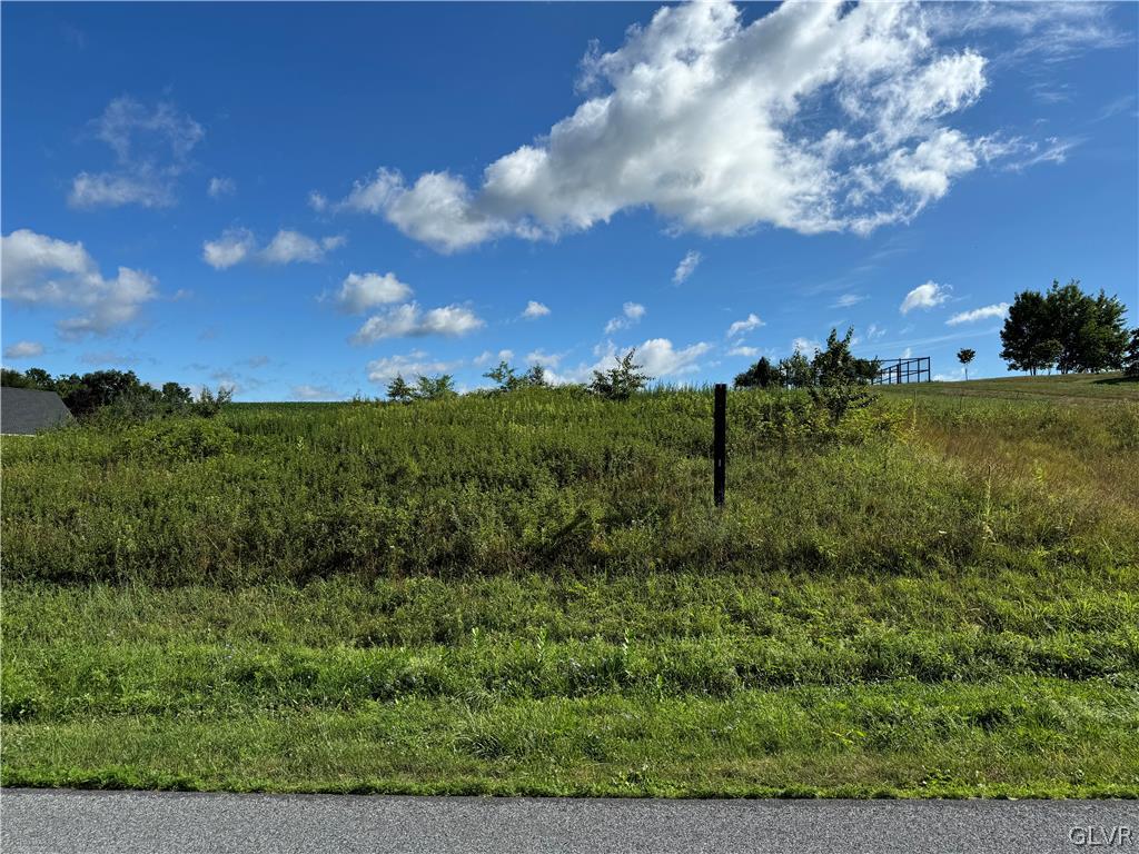 2549 Boger Stadt Road Fogelsville, PA 18051 - Photo 9 of 10