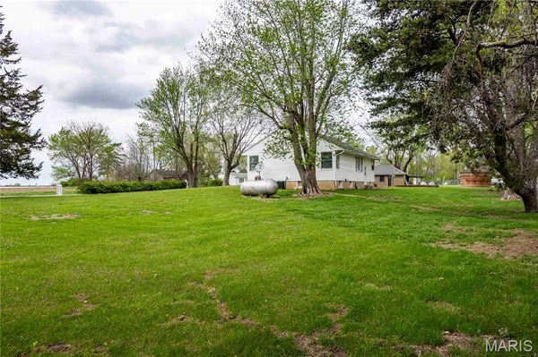 $1 | 21061 Pike 307, Bowling Green, MO 63334