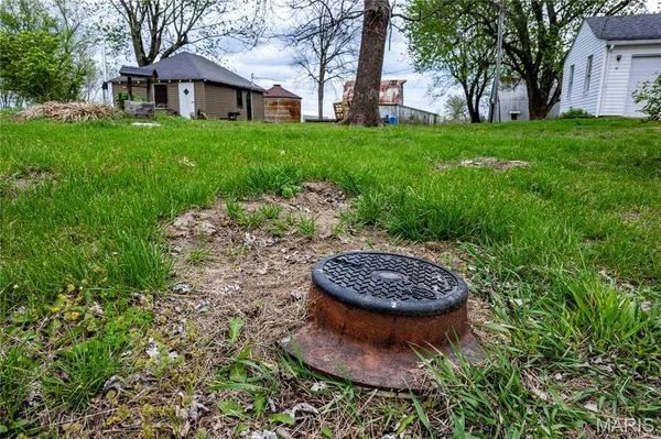 $1 | 21061 Pike 307, Bowling Green, MO 63334